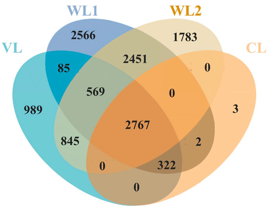Forests 14 01004 g0a2