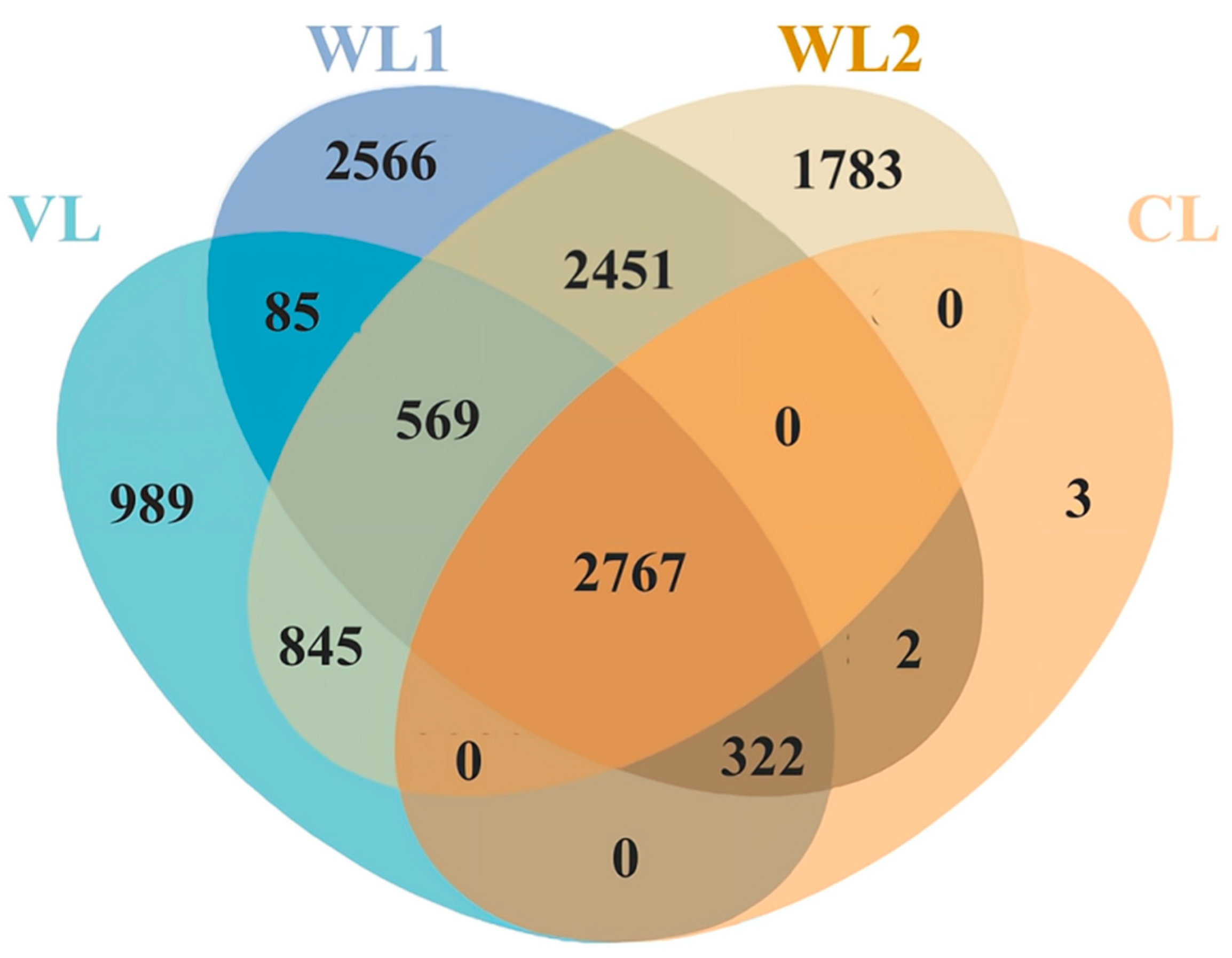 Forests 14 01004 g0a2