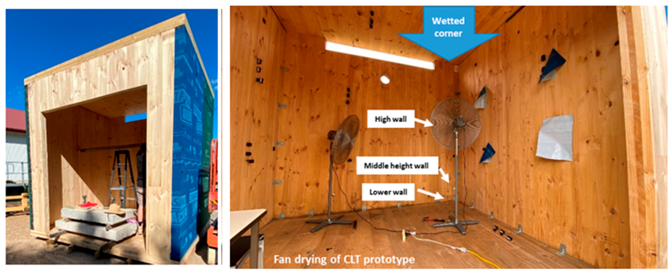 Forests 14 01007 g004