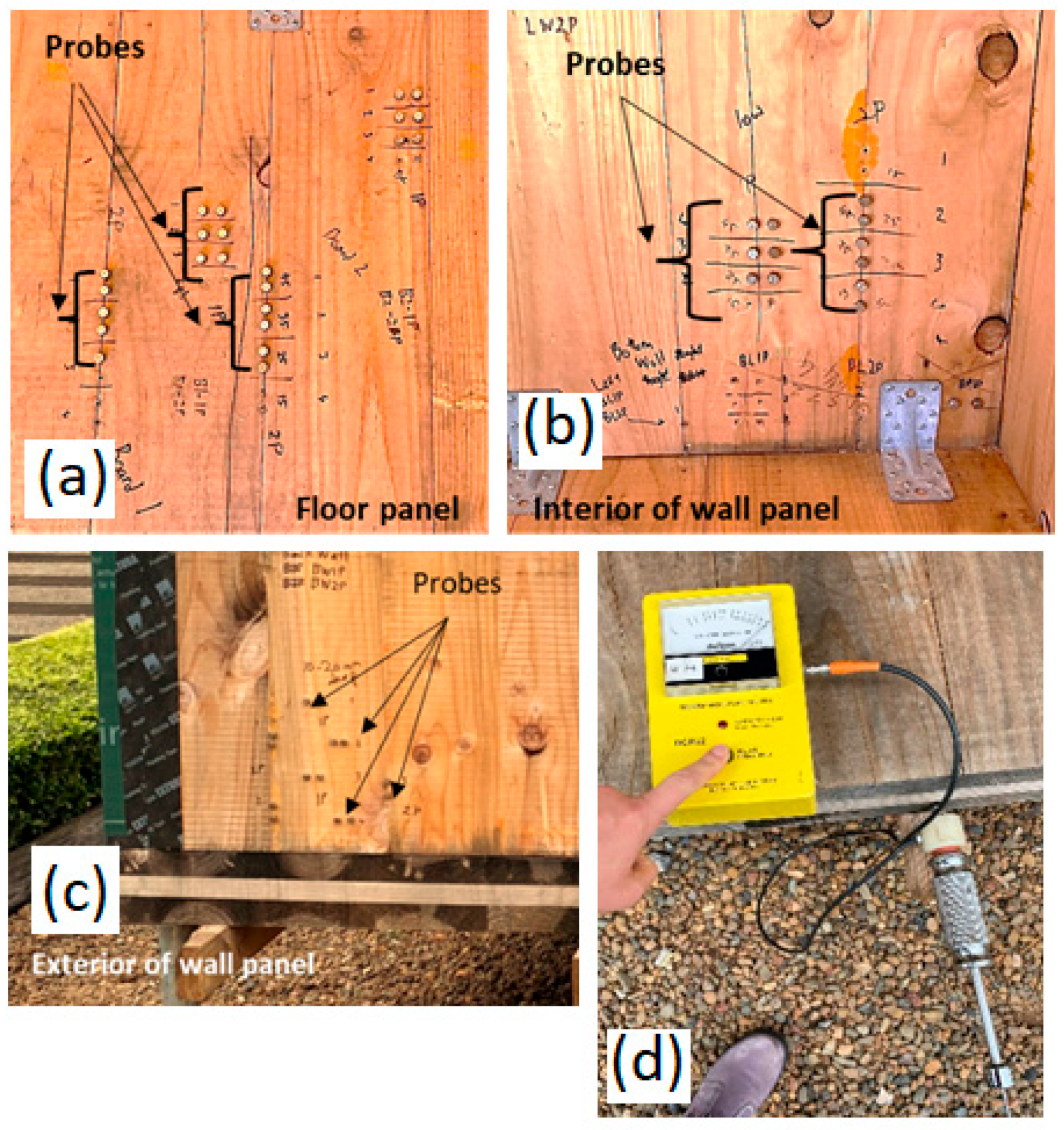 Forests 14 01007 g005