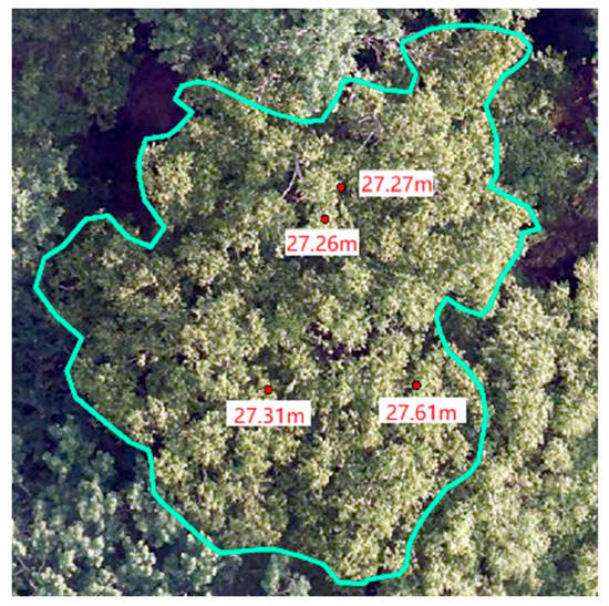 Forests 14 01009 g015