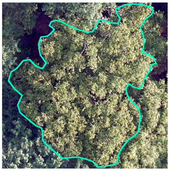 Forests 14 01009 g016