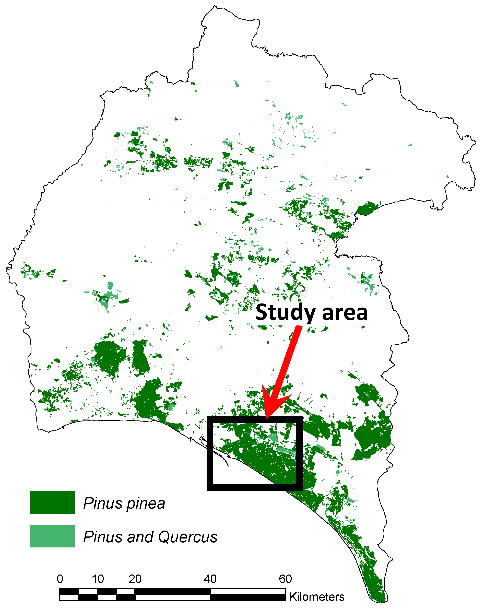 Forests 14 01011 g001 Forests 14 01011 g001