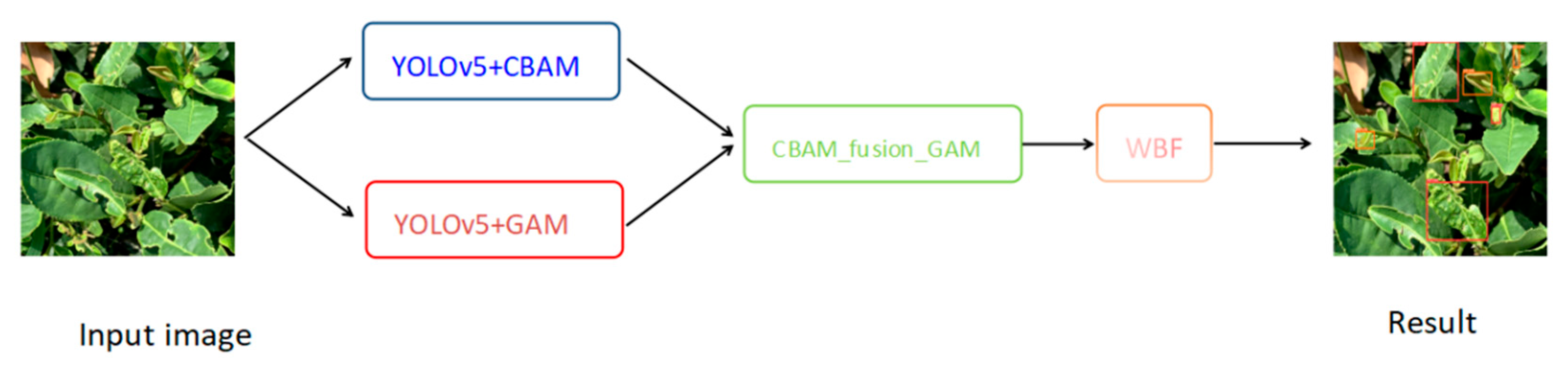 Forests 14 01012 g012