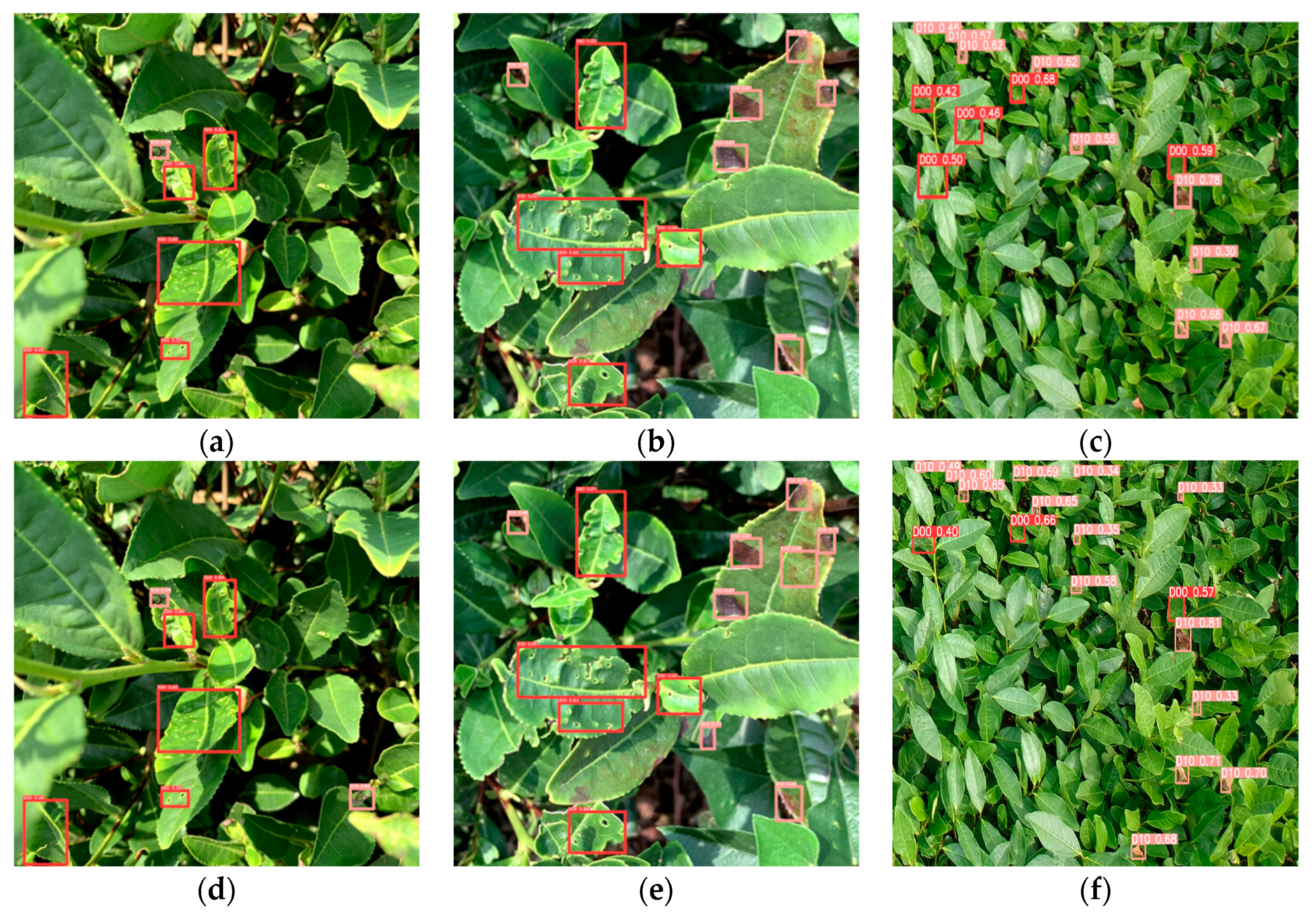 Forests 14 01012 g013a