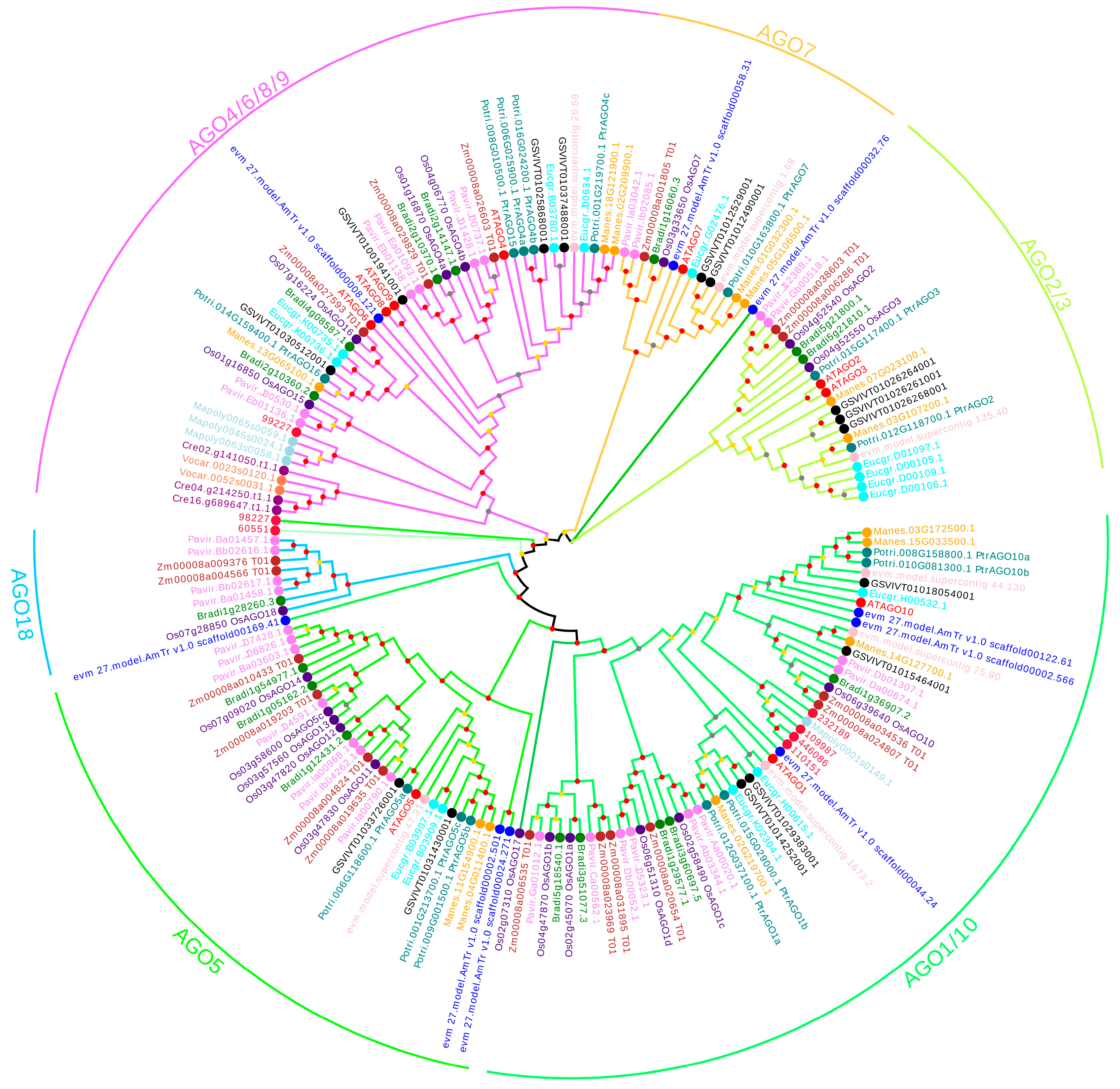 Forests 14 01015 g001