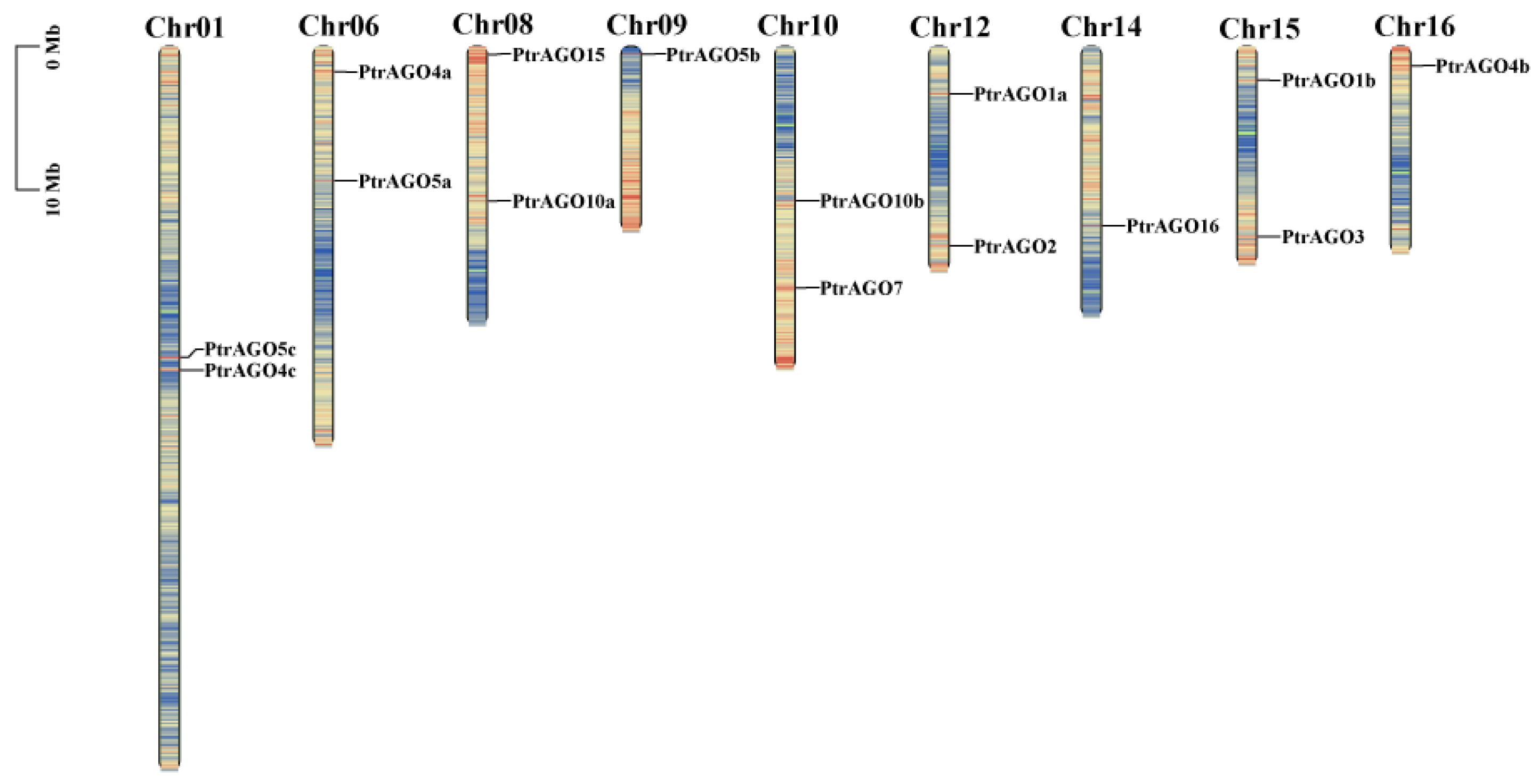 Forests 14 01015 g002