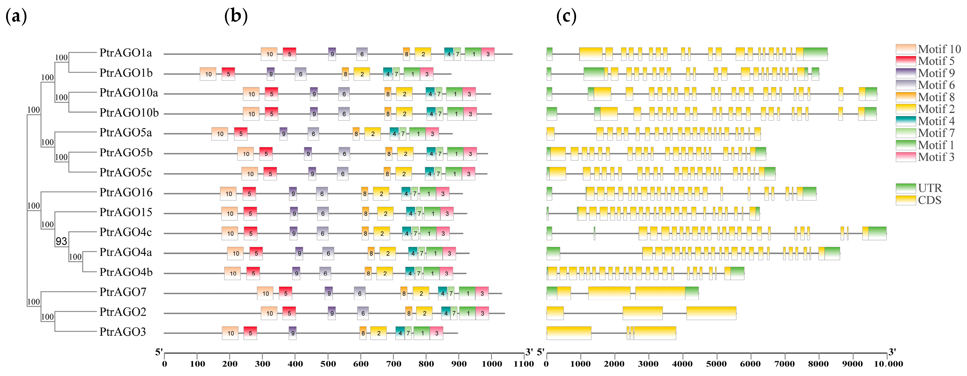 Forests 14 01015 g003