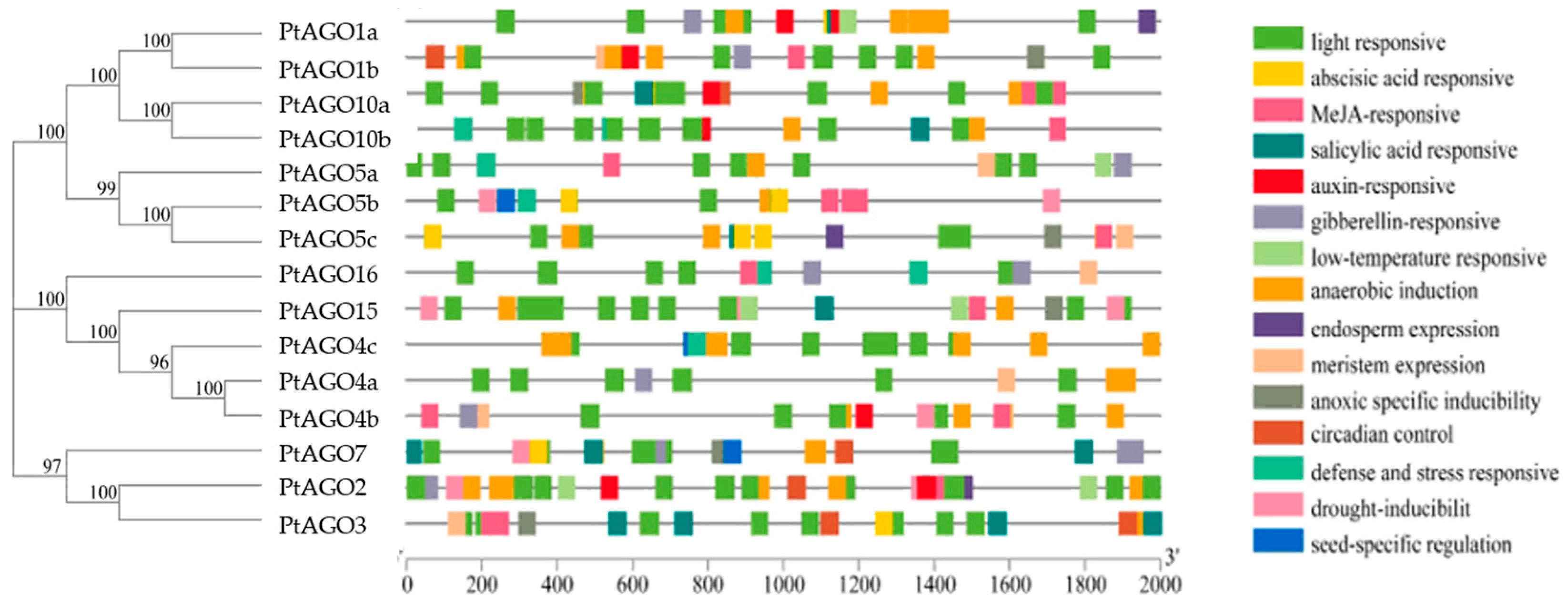 Forests 14 01015 g004