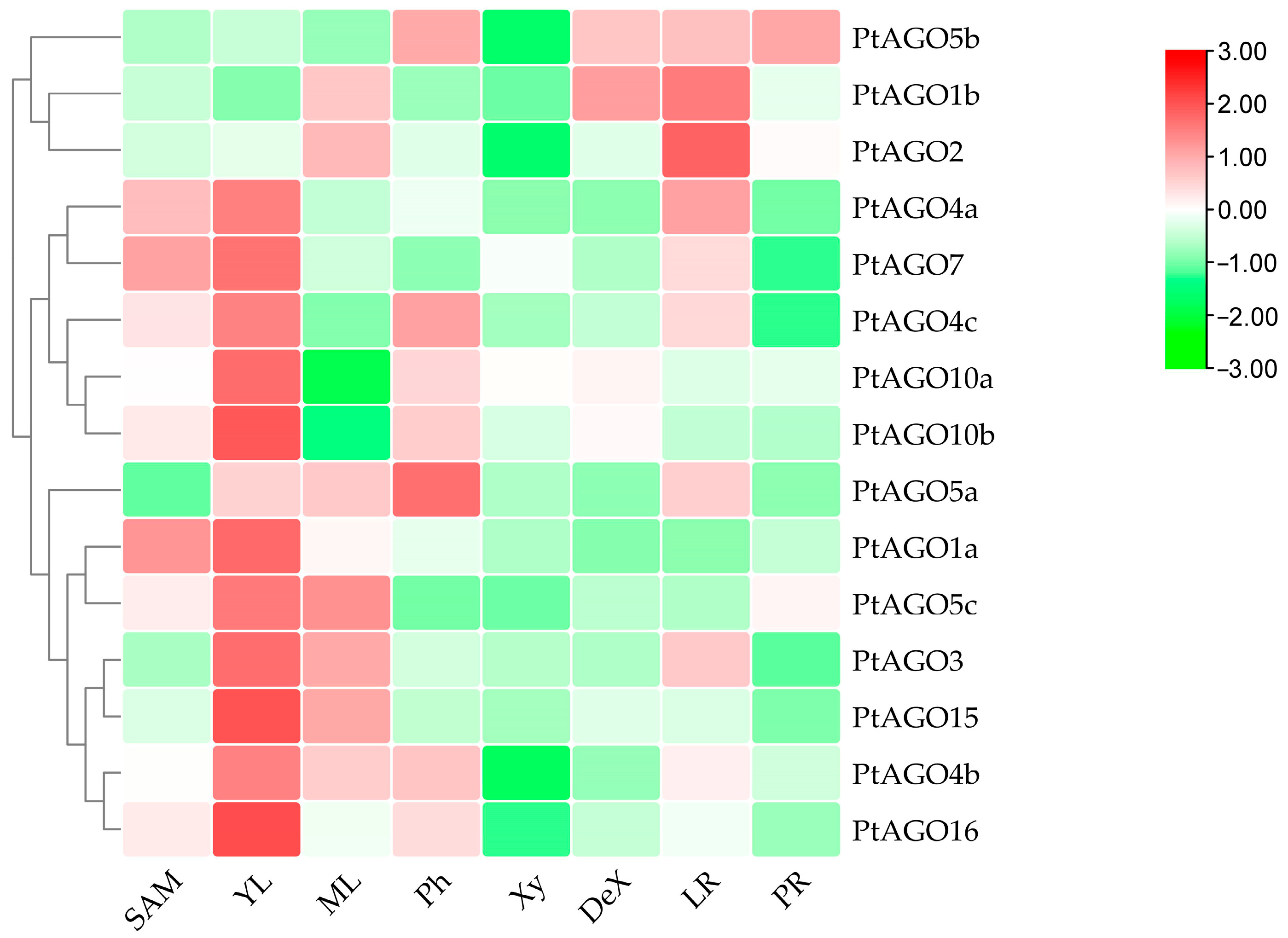 Forests 14 01015 g005