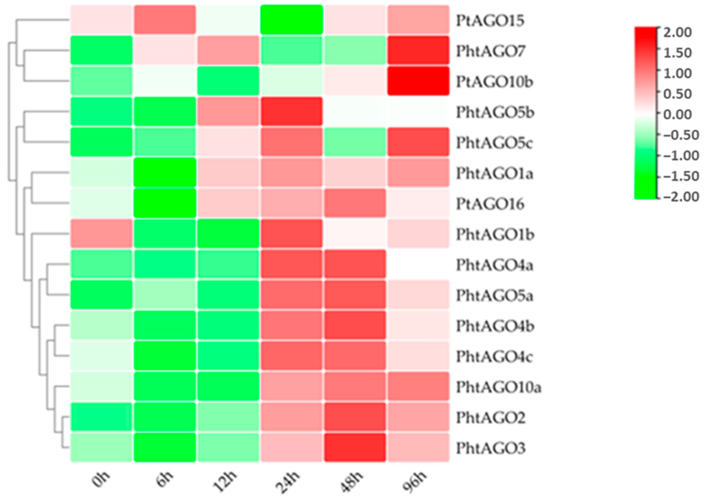 Forests 14 01015 g007