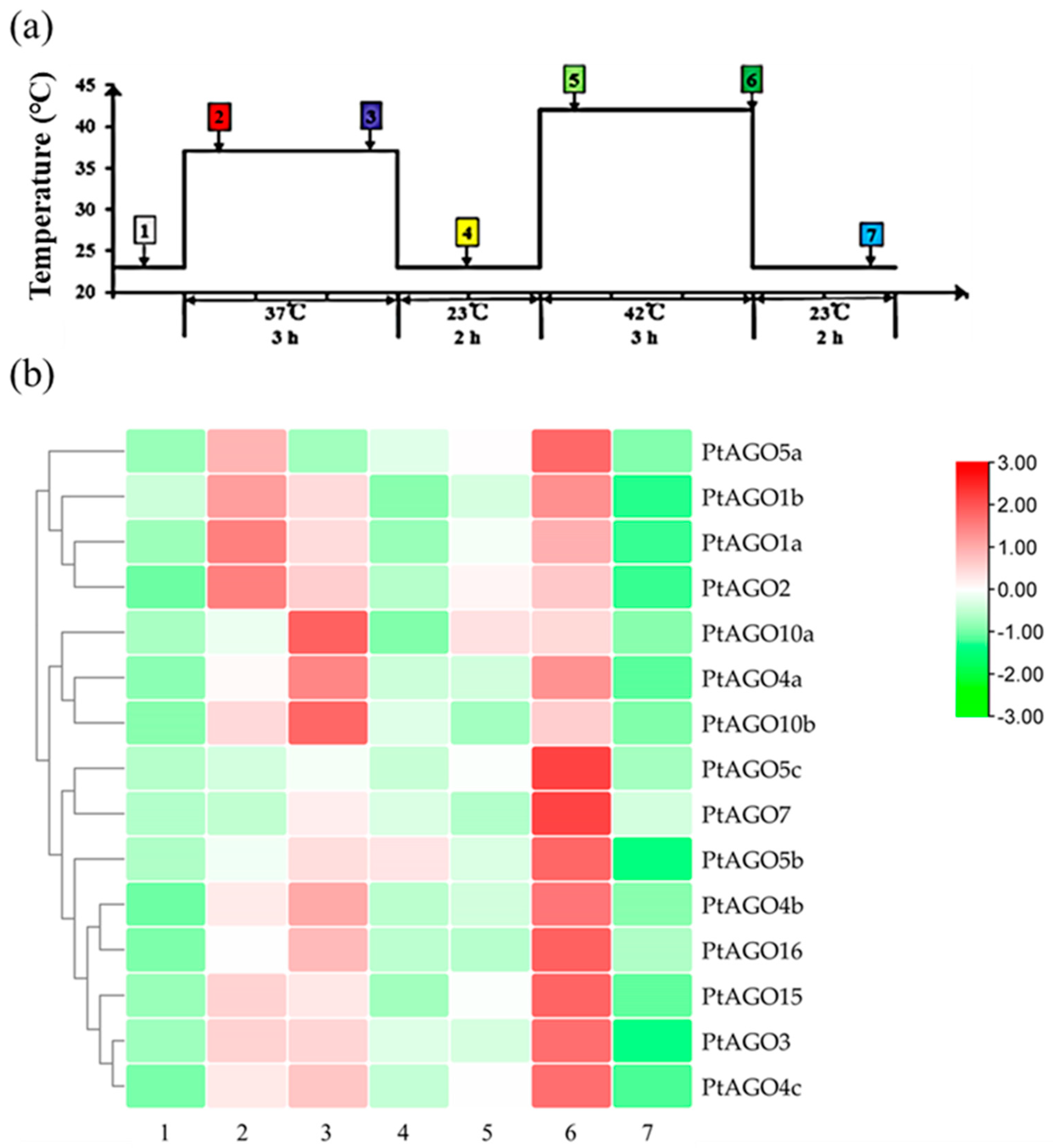 Forests 14 01015 g008