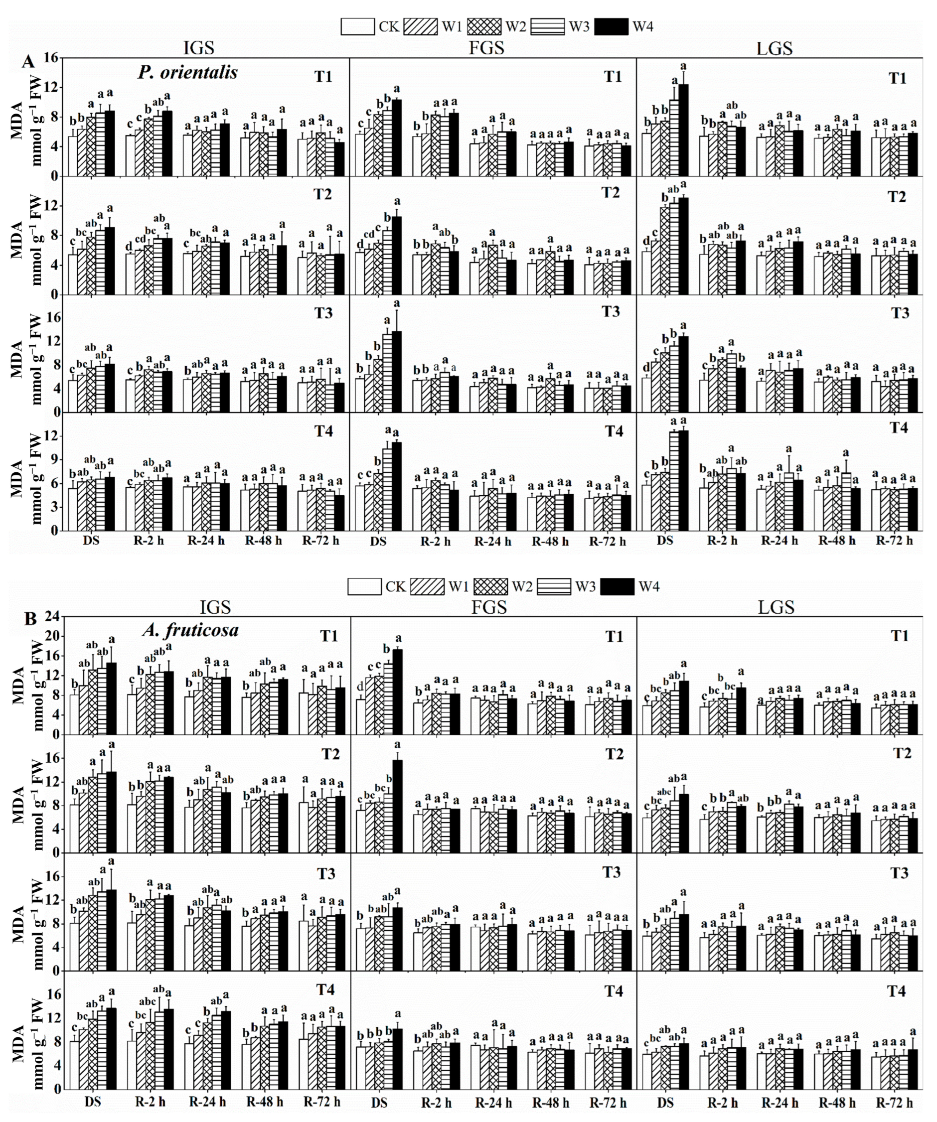 Forests 14 01019 g001
