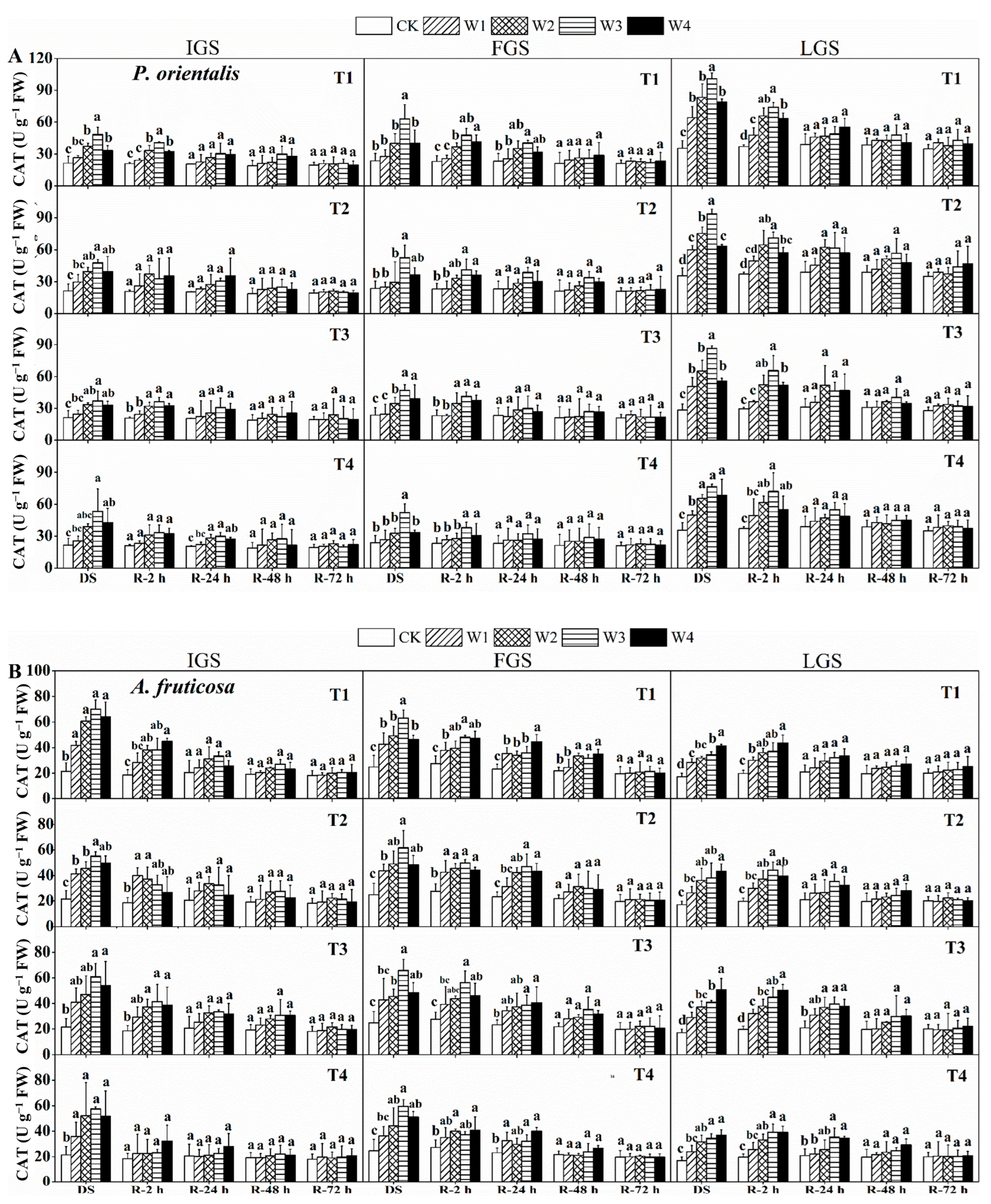 Forests 14 01019 g004