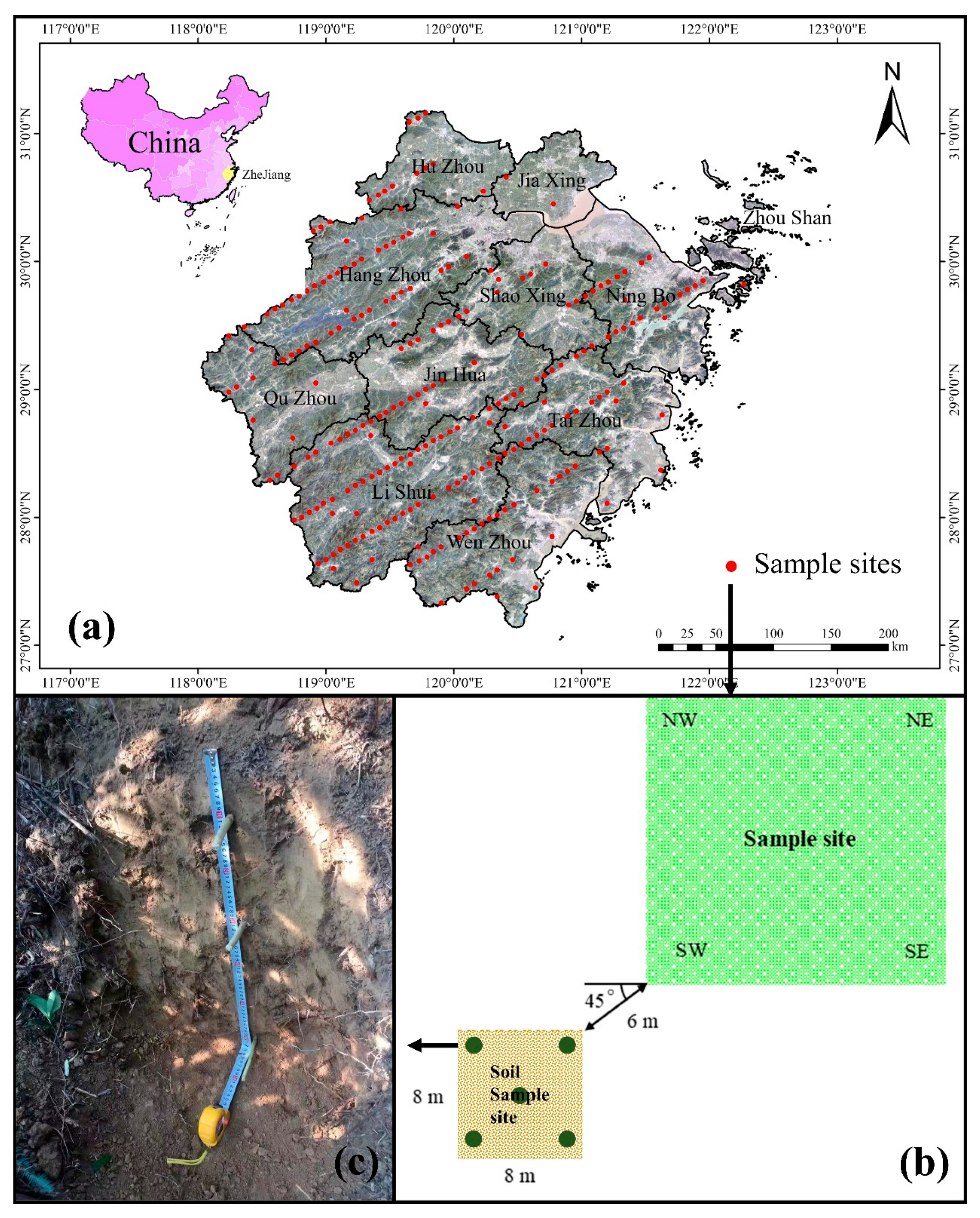 Forests 14 01023 g001 Forests 14 01023 g001