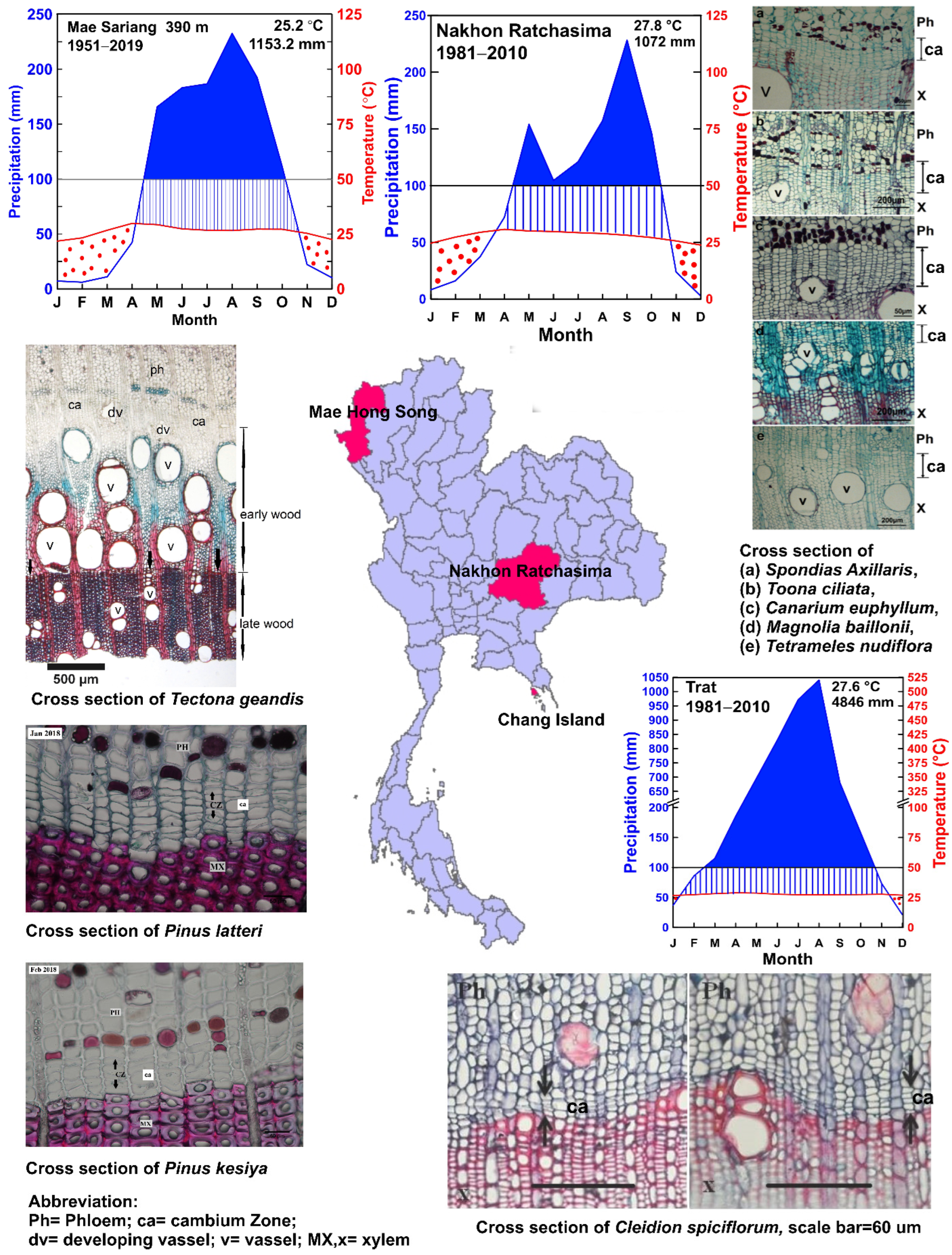 Forests 14 01025 g002