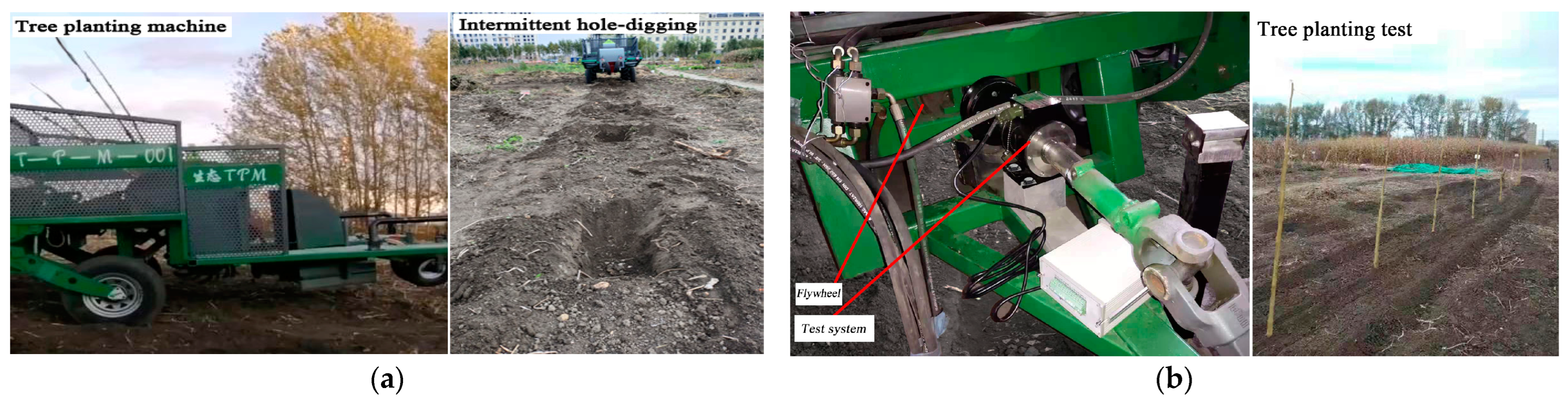 Forests 14 01039 g010