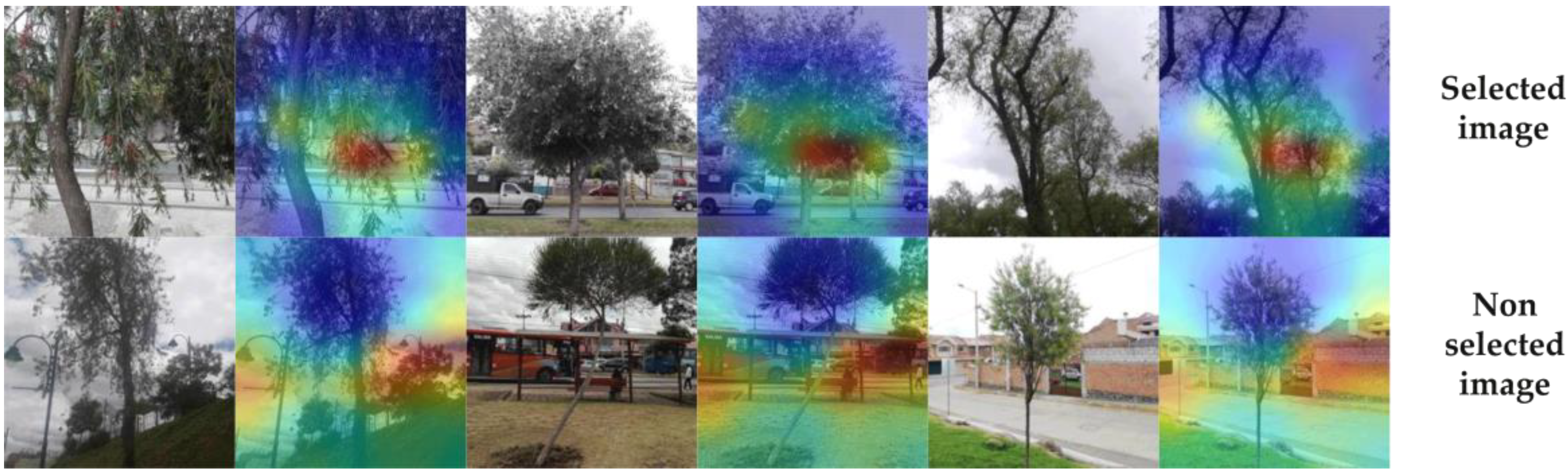 Forests 14 01050 g003 Forests 14 01050 g003