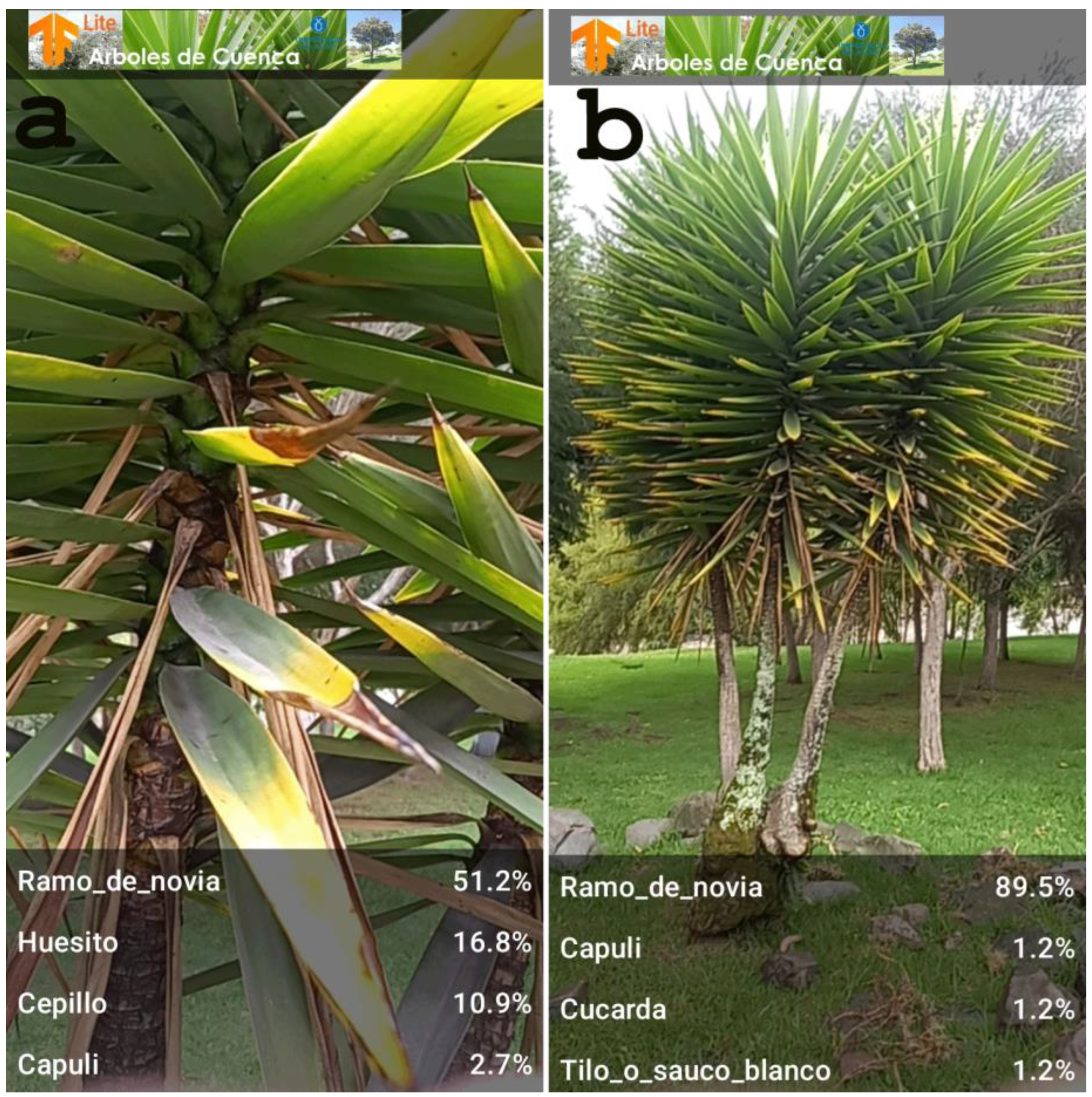 Forests 14 01050 g008 Forests 14 01050 g008