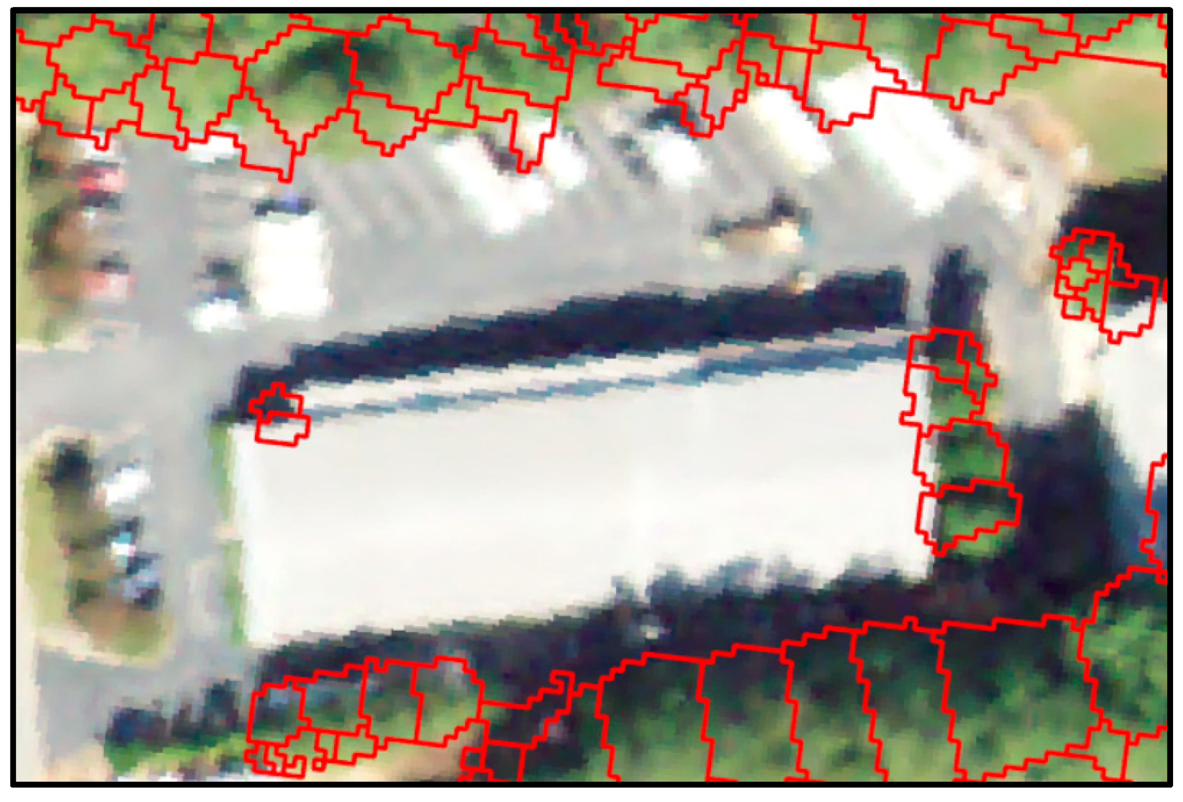 Forests 14 01064 g006