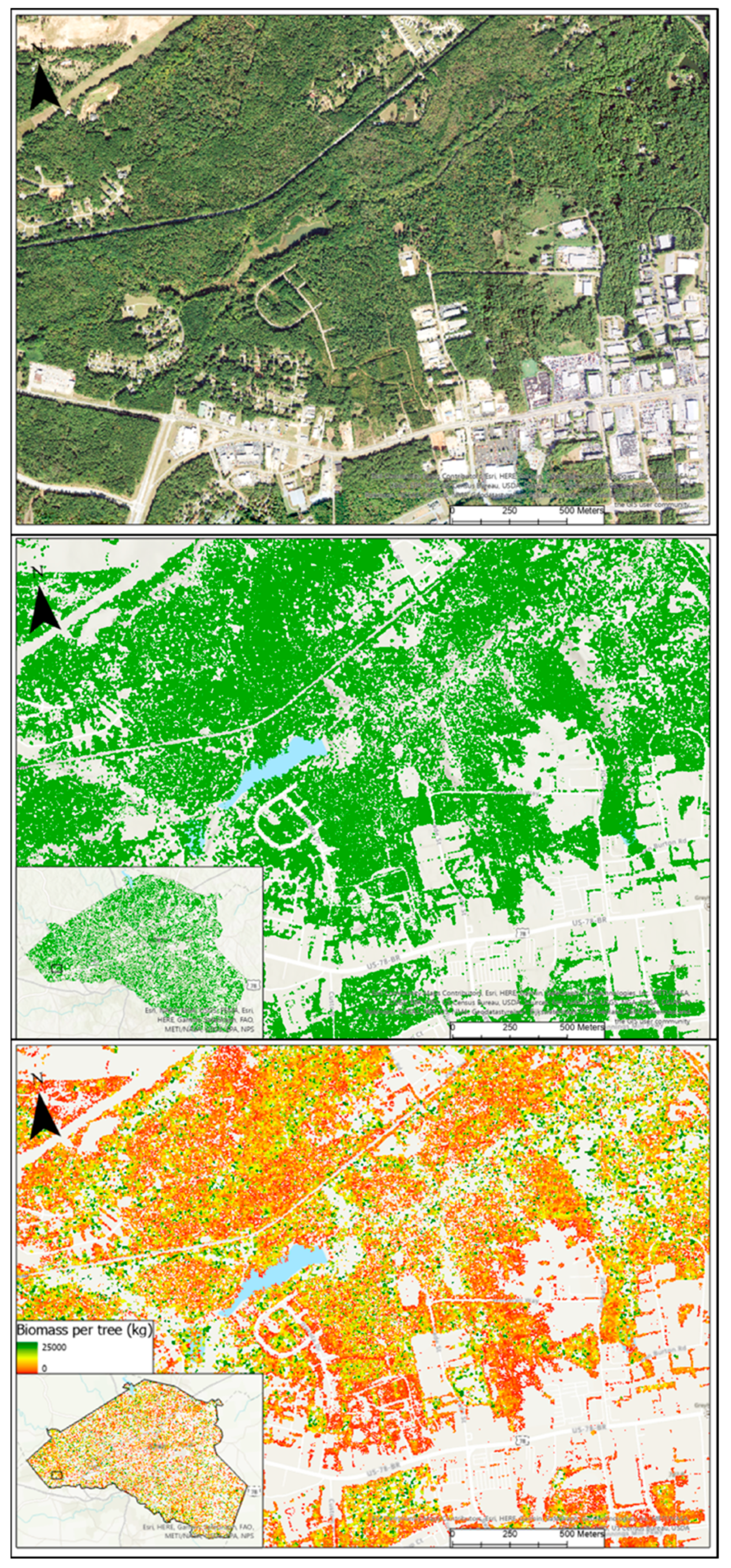 Forests 14 01064 g009
