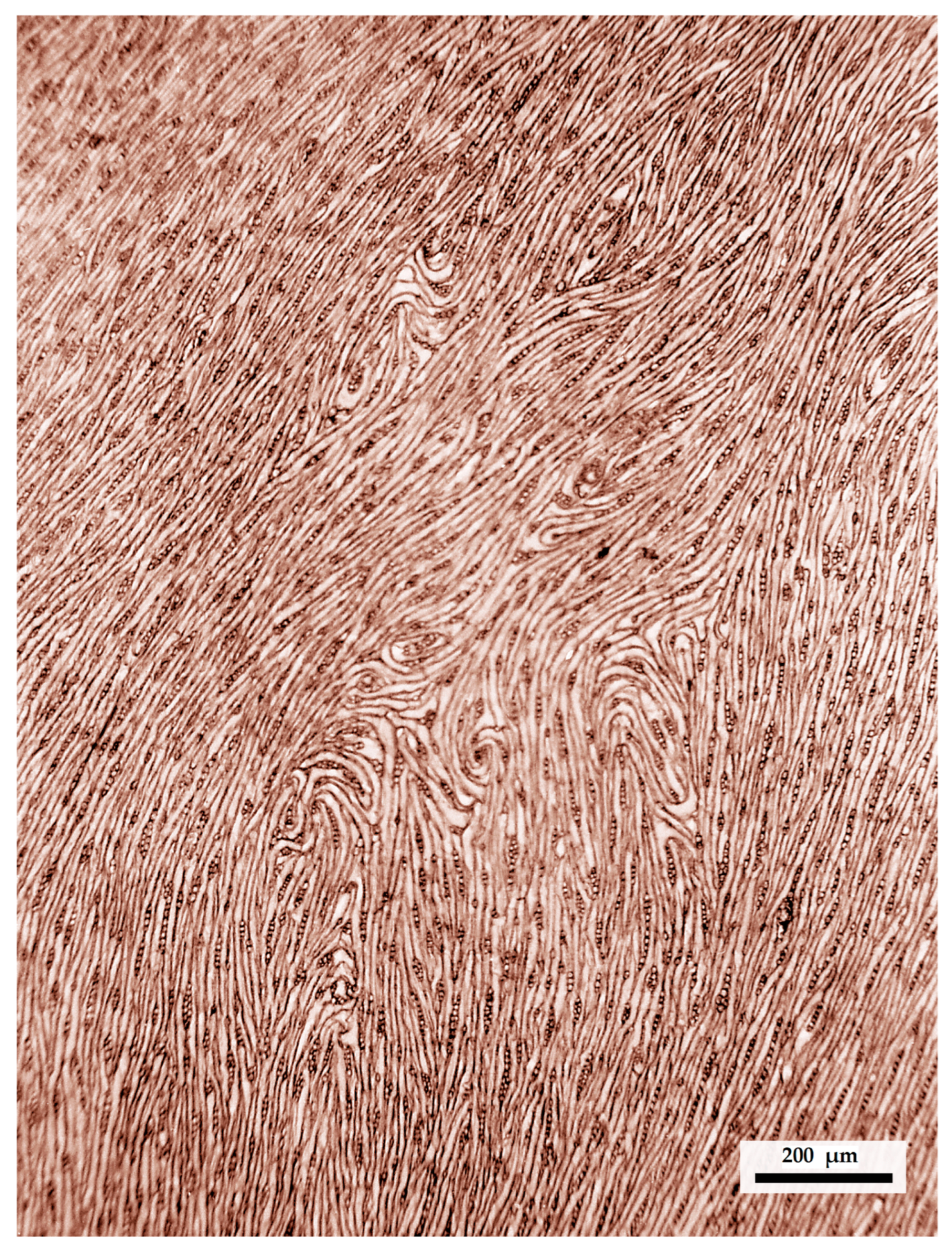 Forests 14 01065 g004 Forests 14 01065 g004