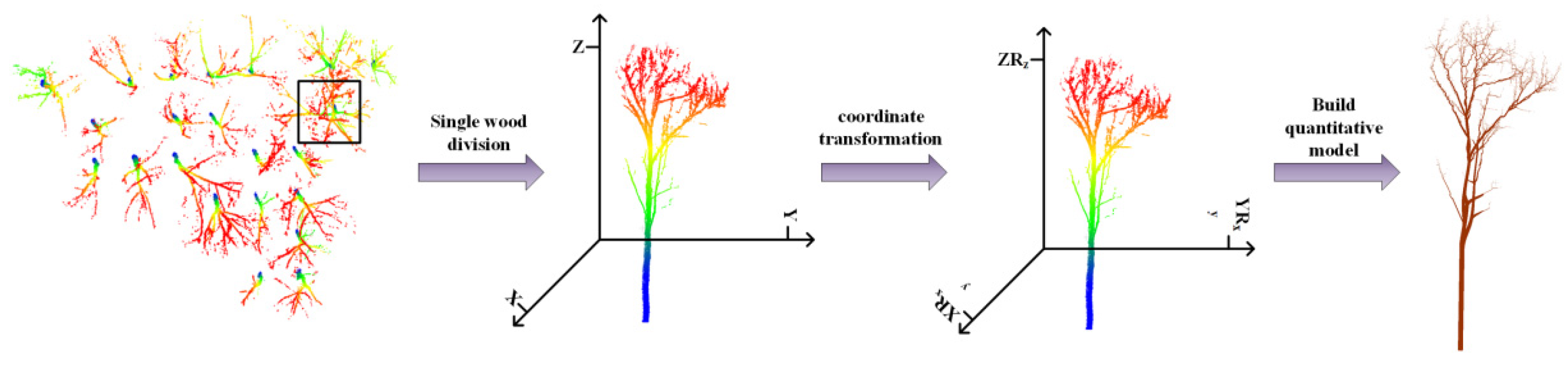 Forests 14 01081 g005