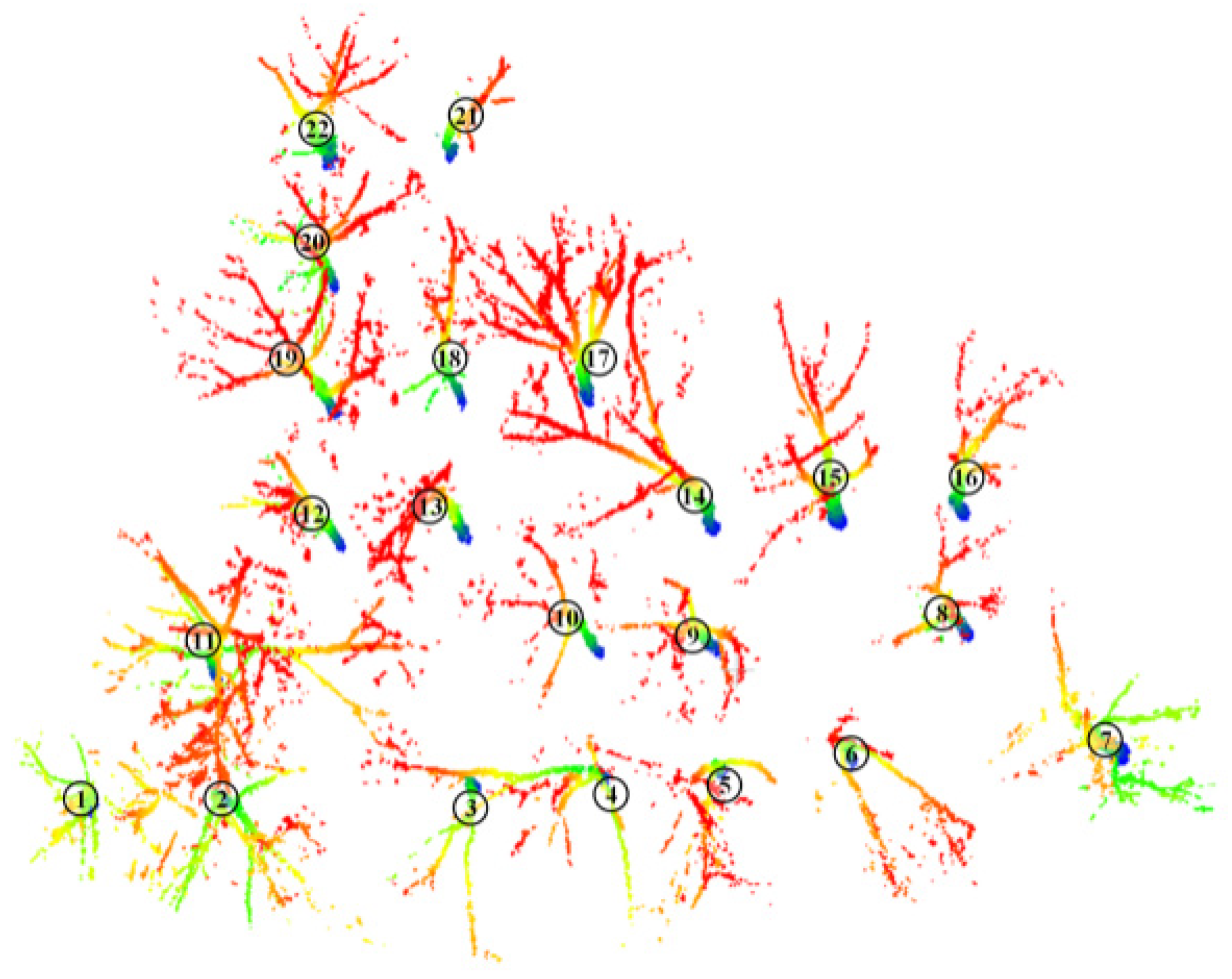 Forests 14 01081 g011