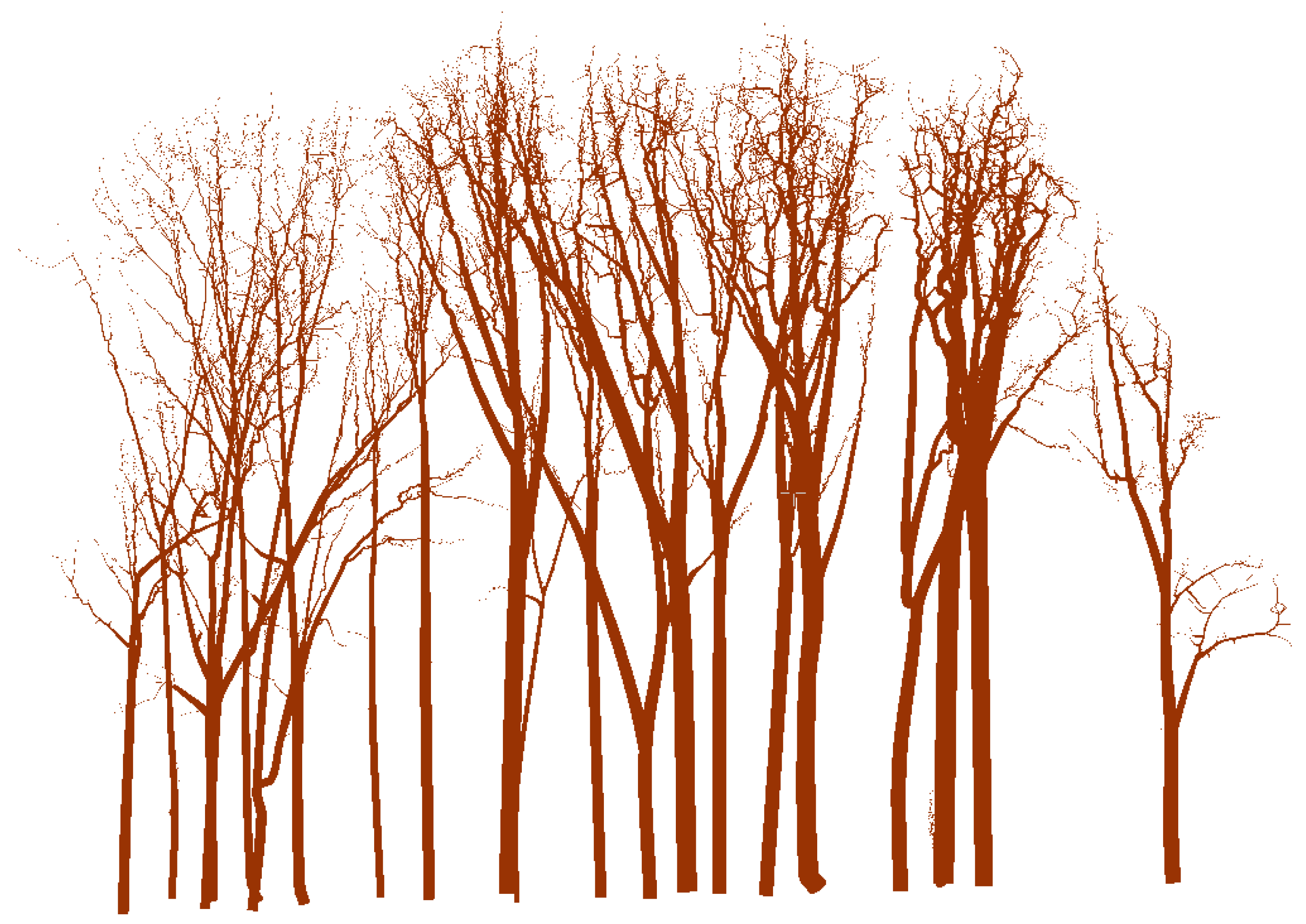 Forests 14 01081 g012