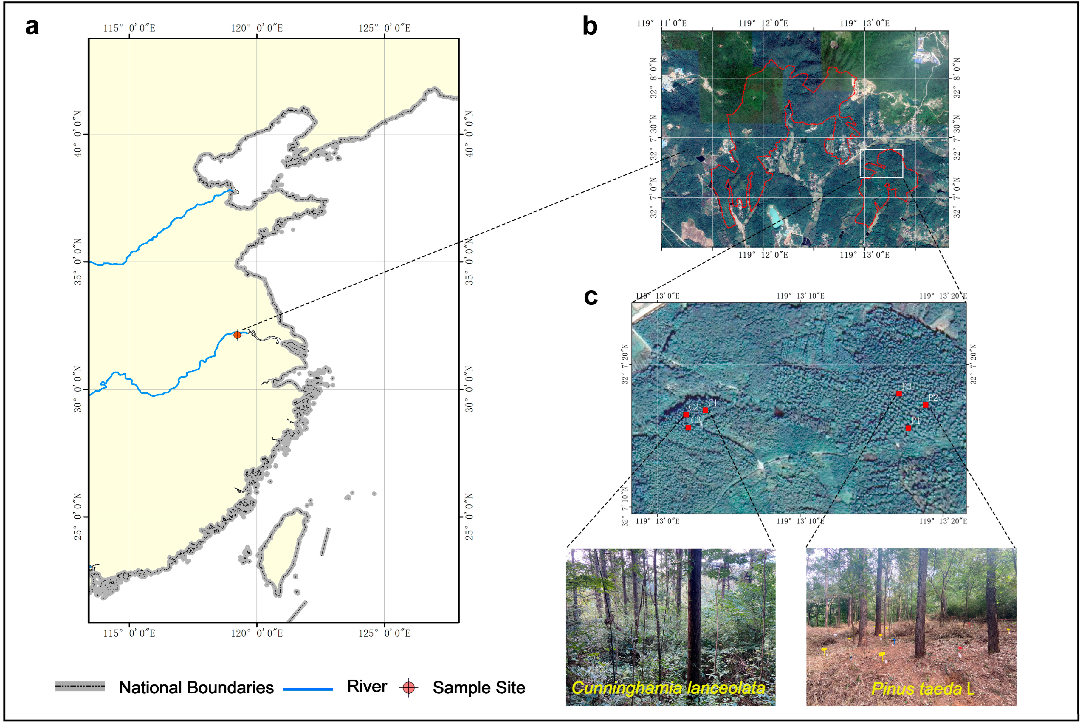 Forests 14 01092 g001