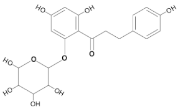 Forests 14 01094 i006 Forests 14 01094 i006