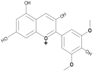 Forests 14 01094 i016 Forests 14 01094 i016