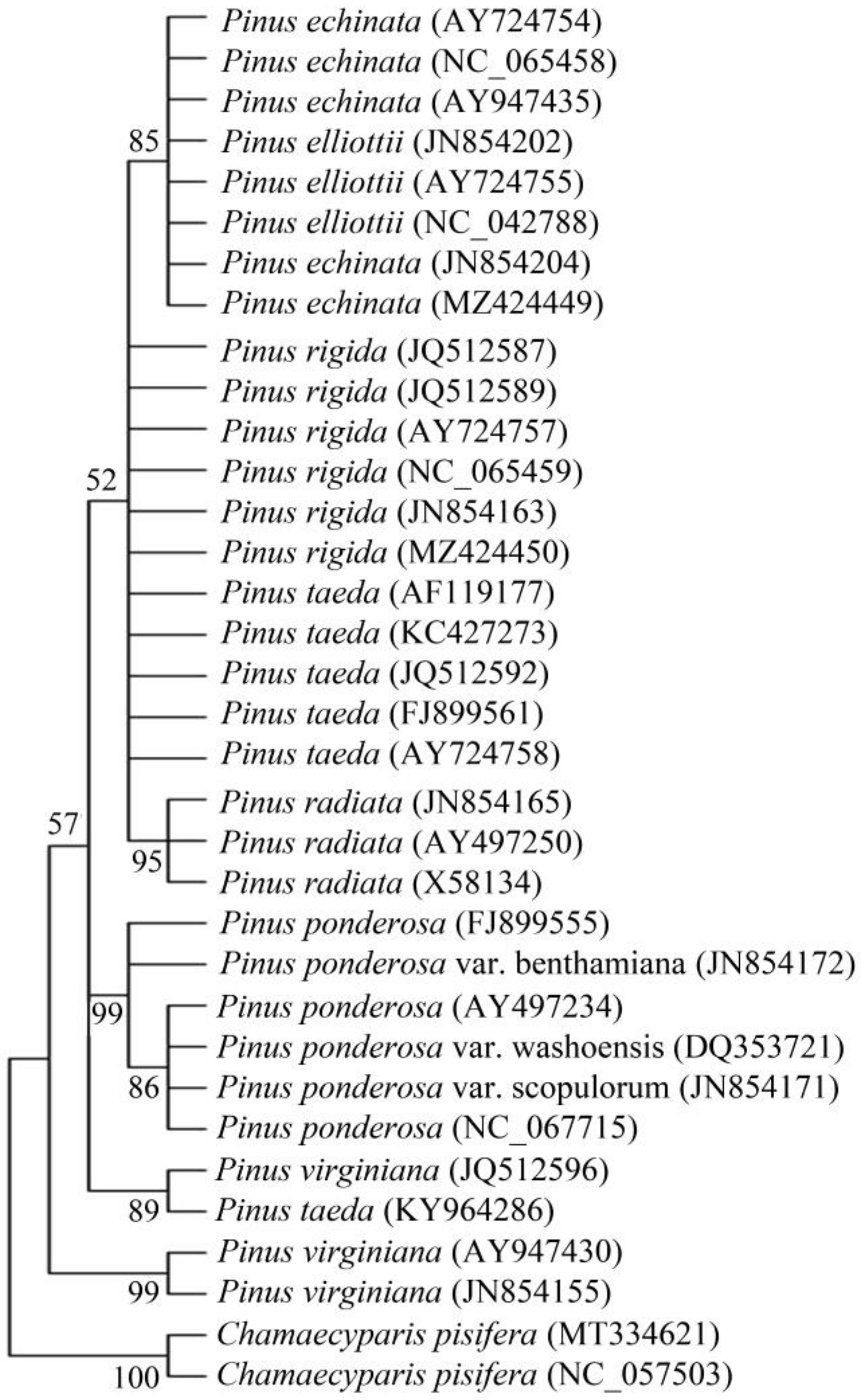 Forests 14 01095 g001