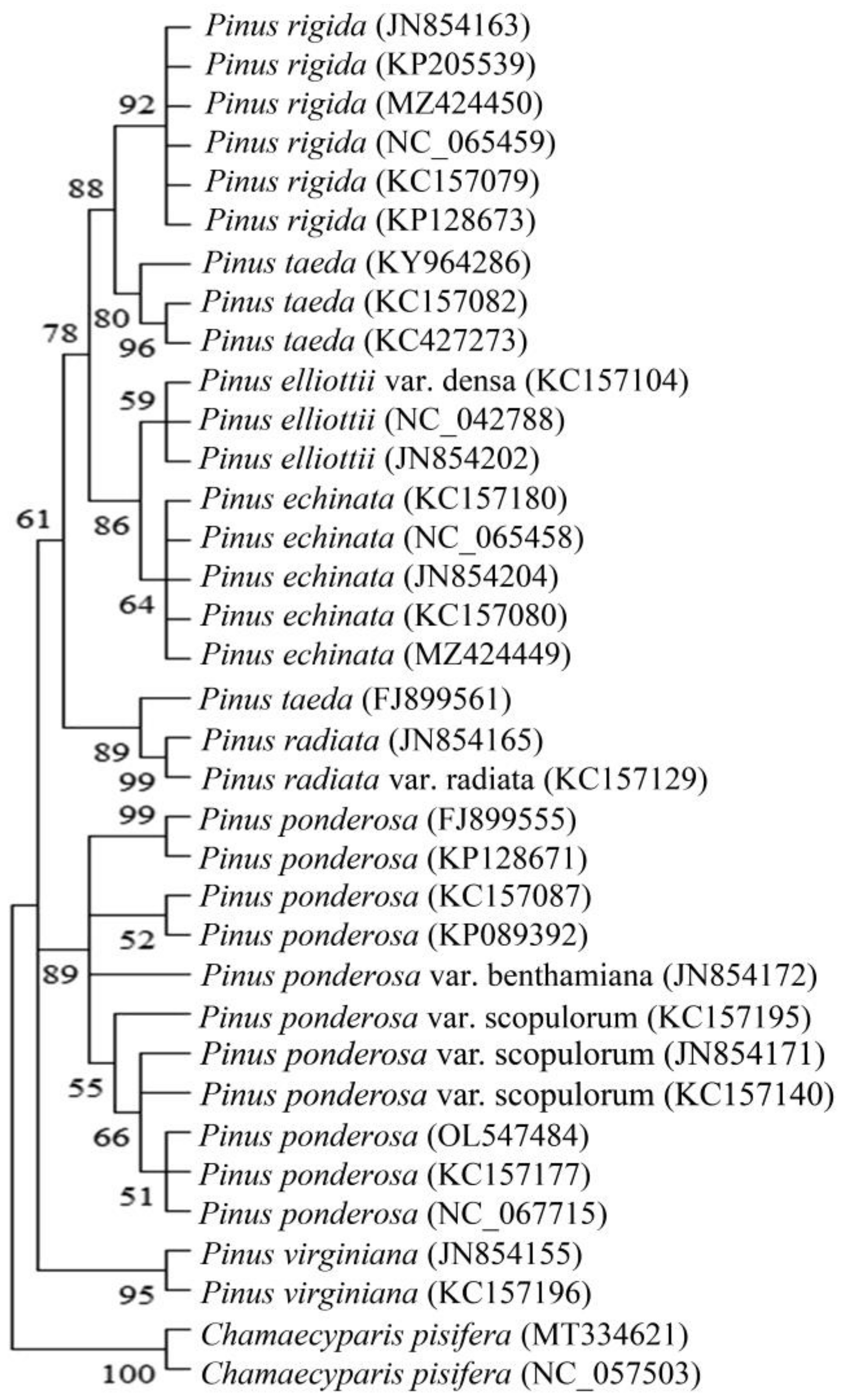 Forests 14 01095 g002