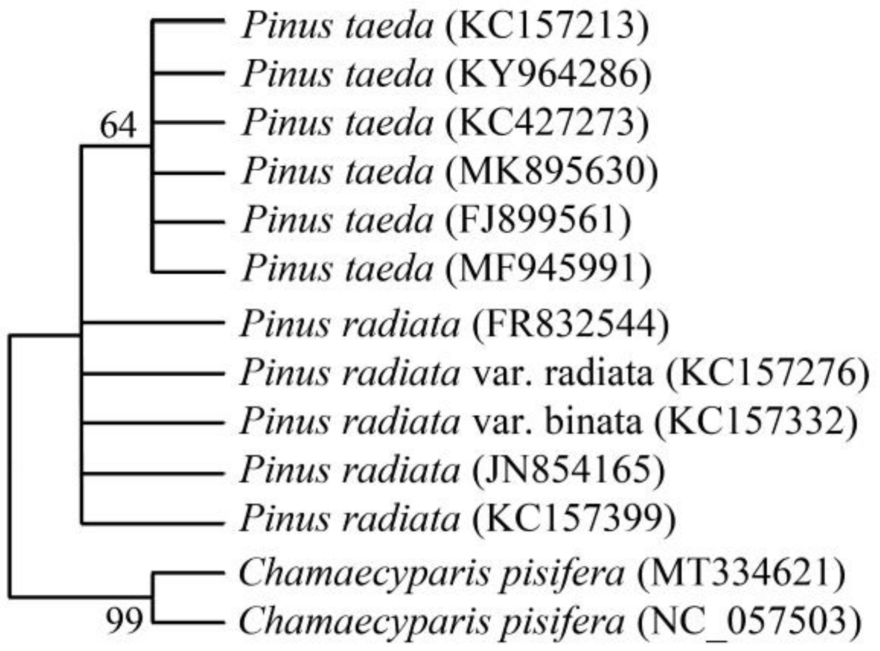 Forests 14 01095 g003