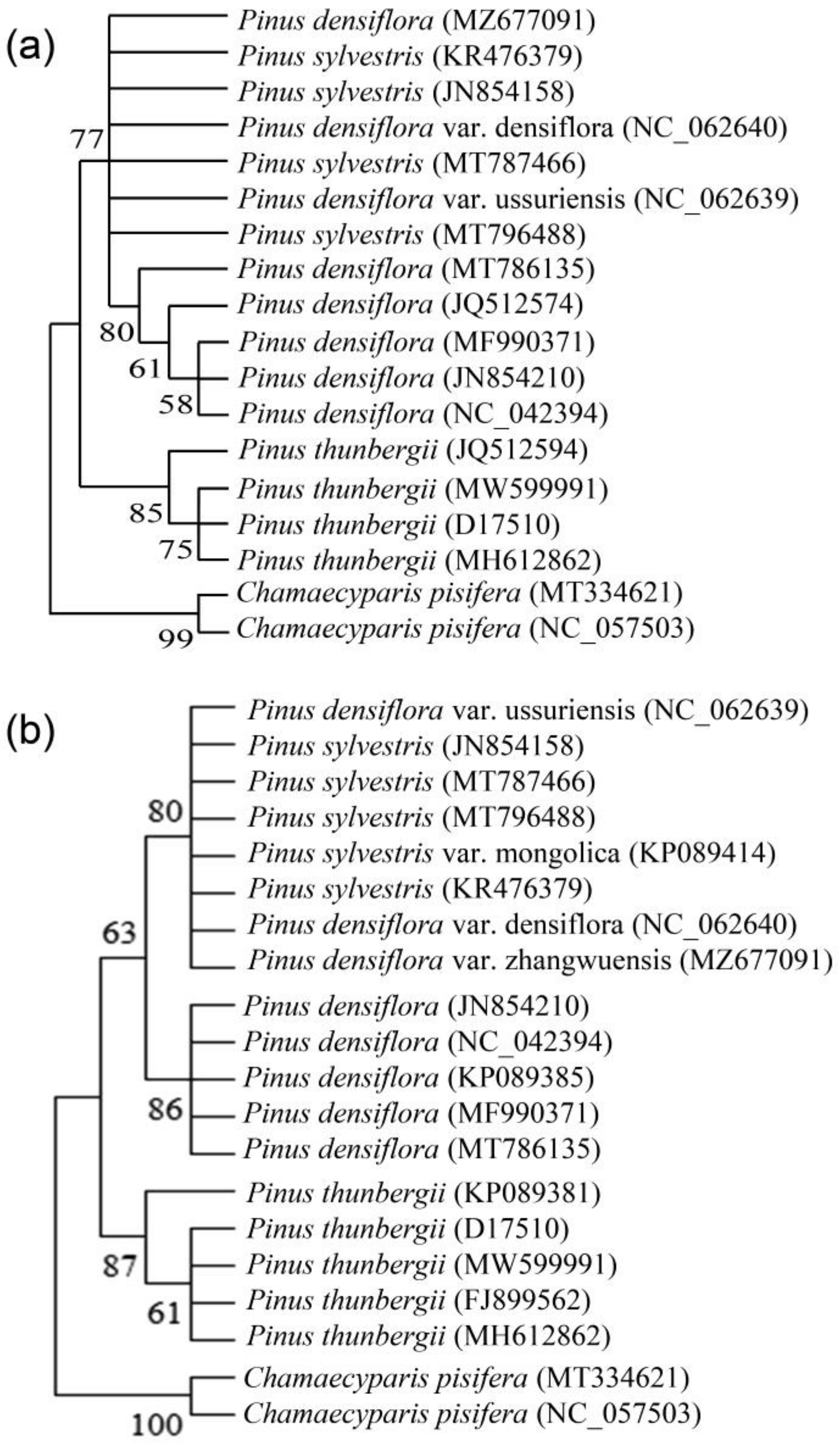 Forests 14 01095 g004