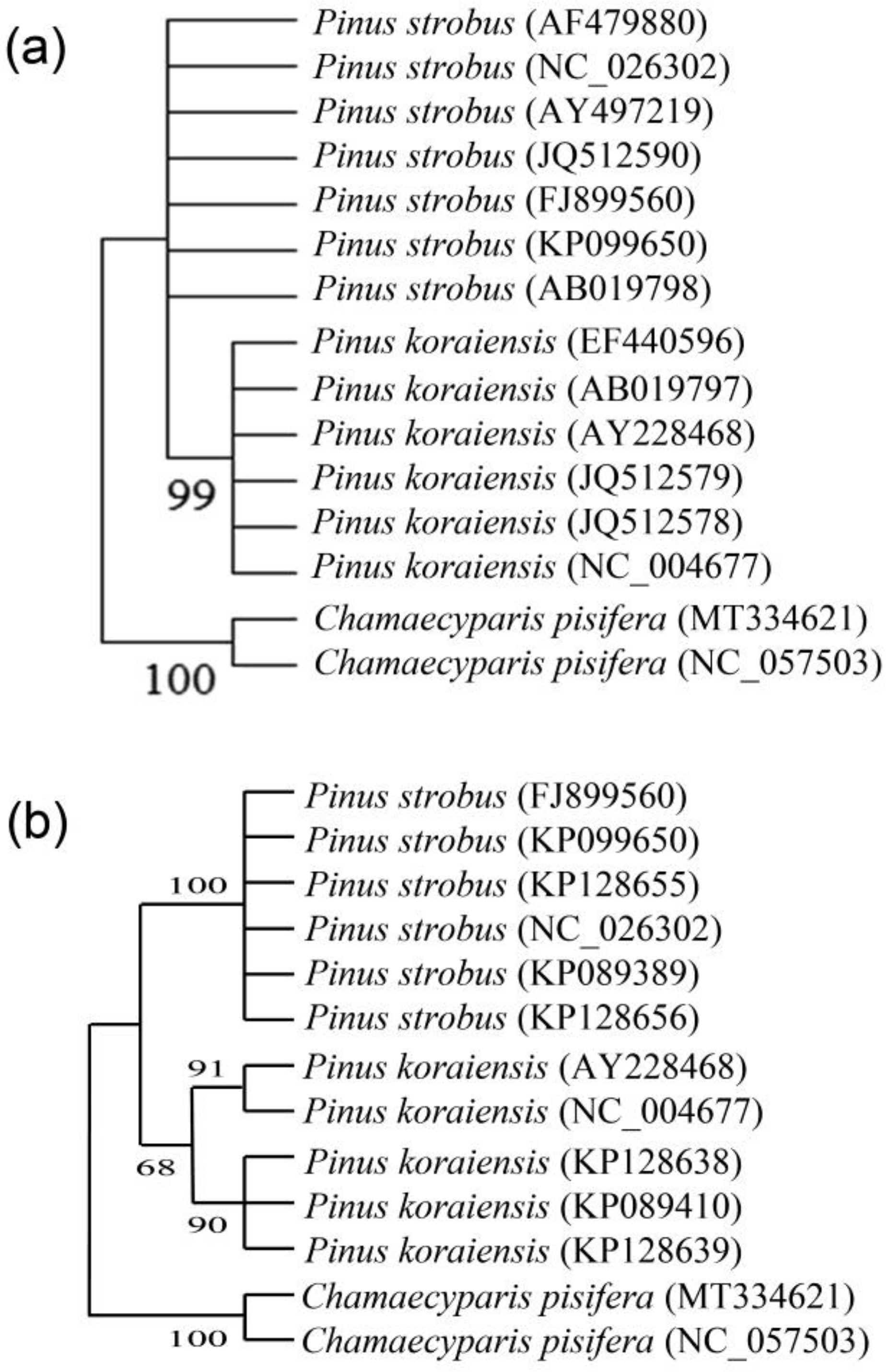 Forests 14 01095 g005