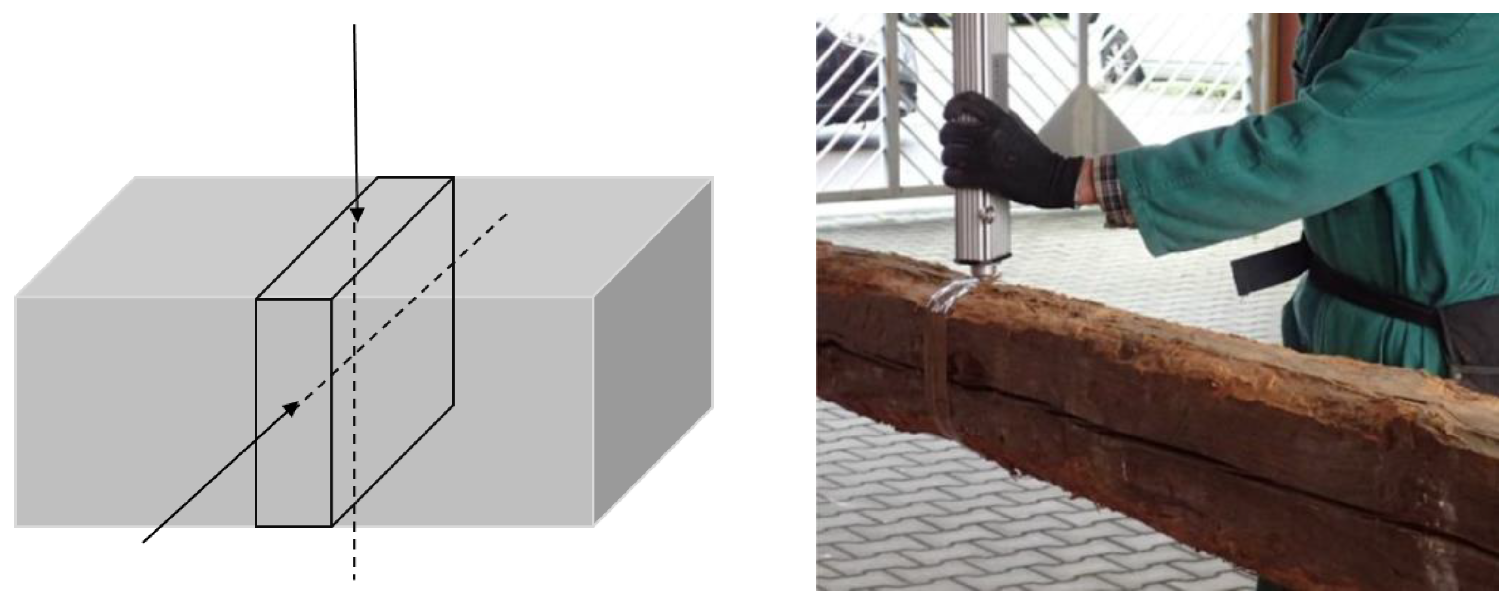 Forests 14 01107 g001 Forests 14 01107 g001