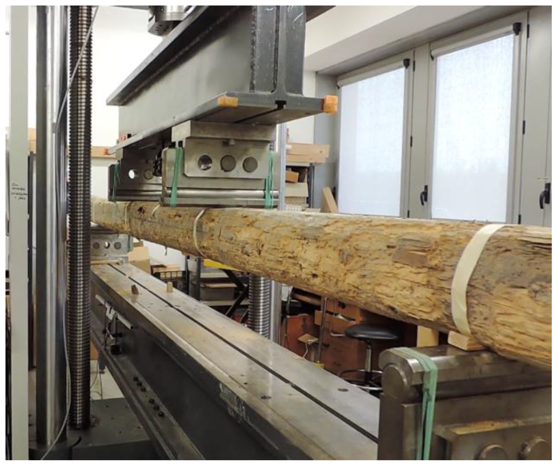 Forests 14 01107 g003 Forests 14 01107 g003