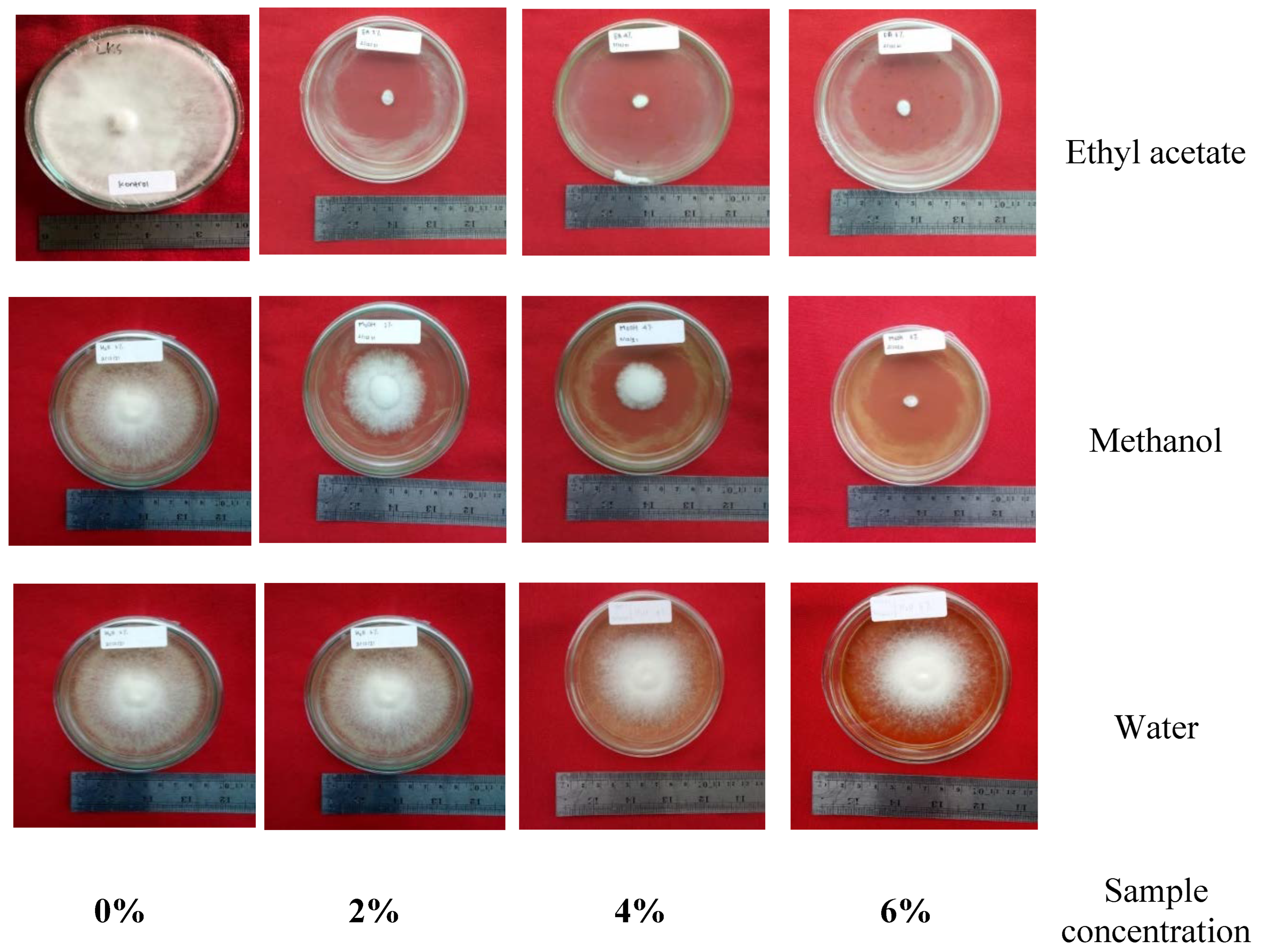 Forests 14 01115 g003