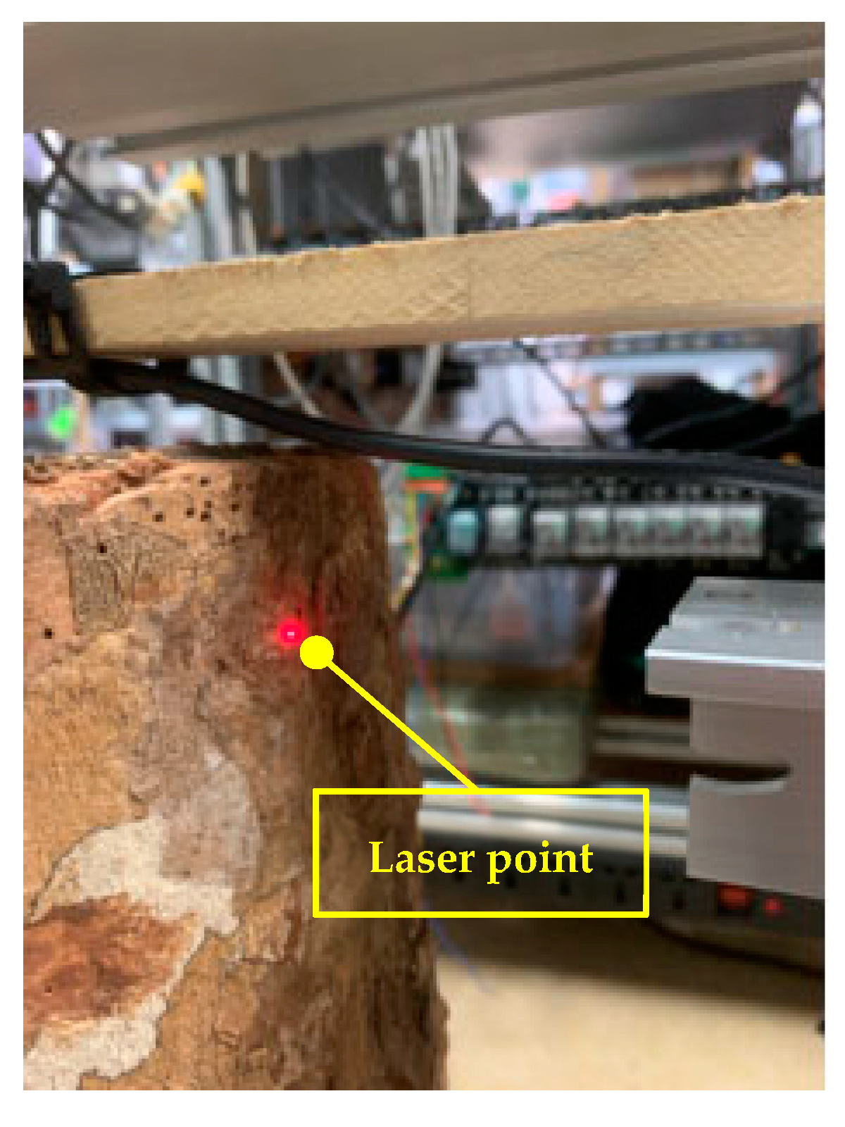 Forests 14 01122 g011