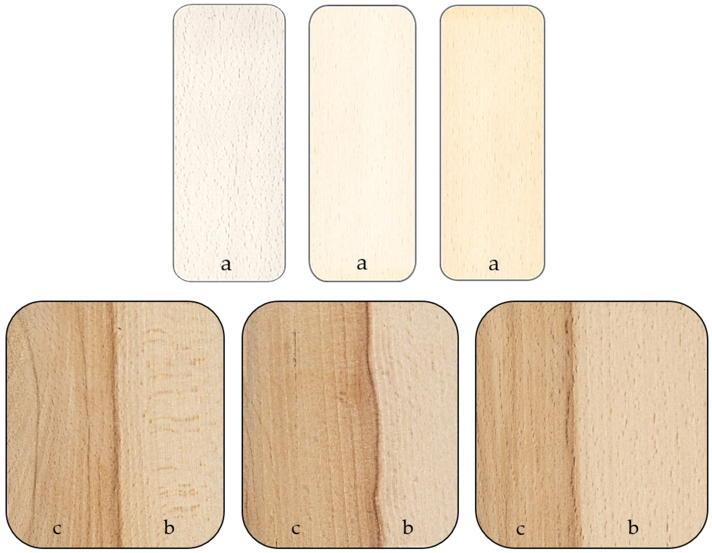 Forests 14 01123 g002