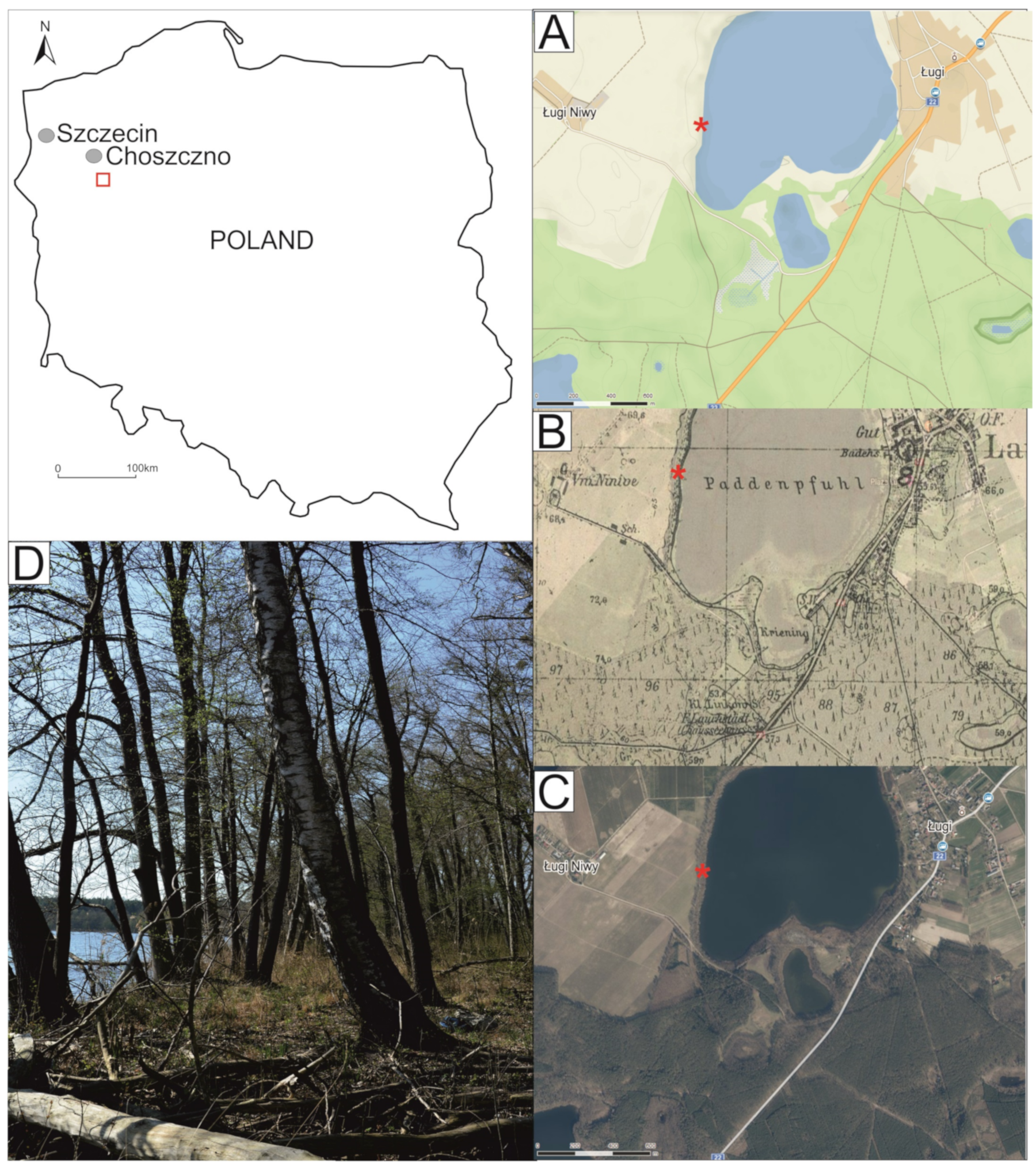 Forests 14 01132 g001