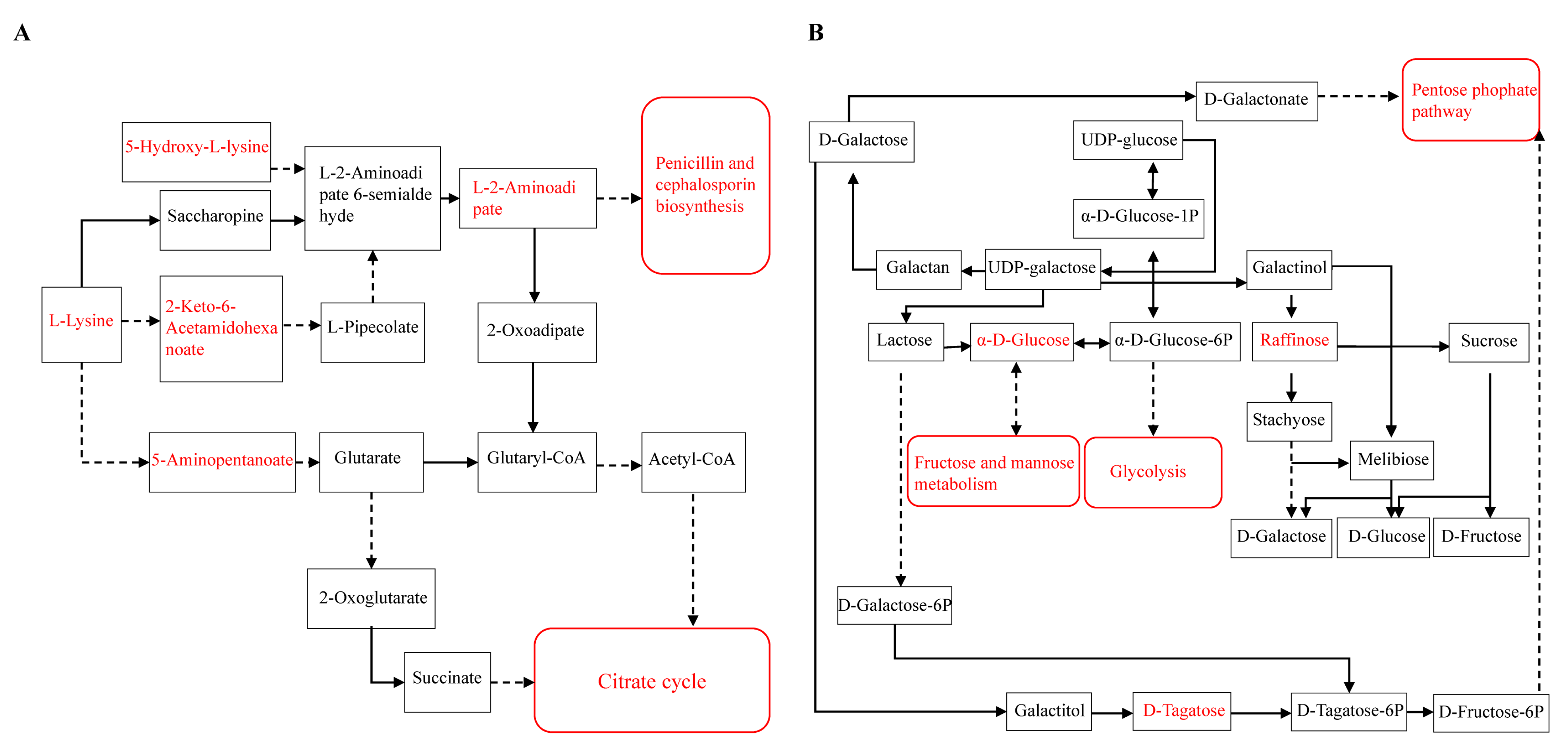 Forests 14 01136 g006 Forests 14 01136 g006