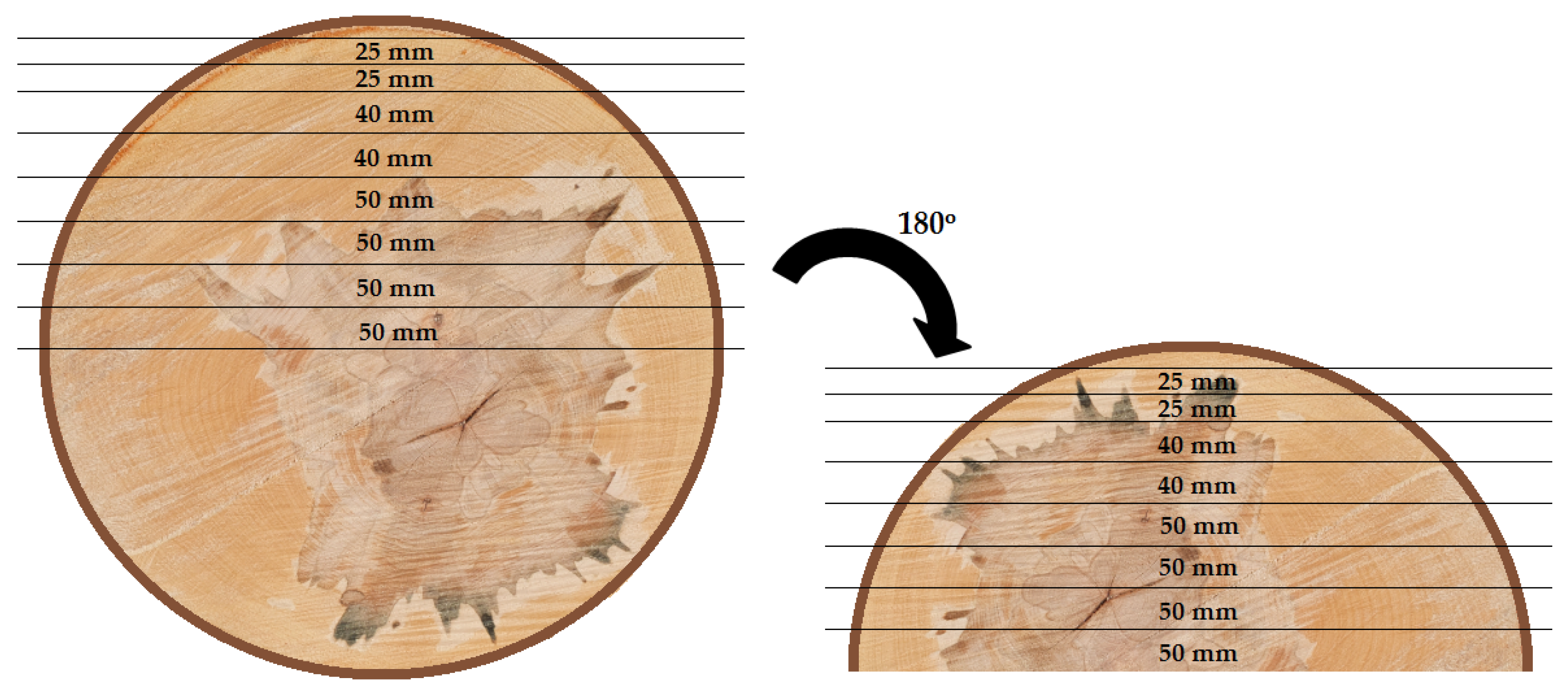 Forests 14 01137 g002