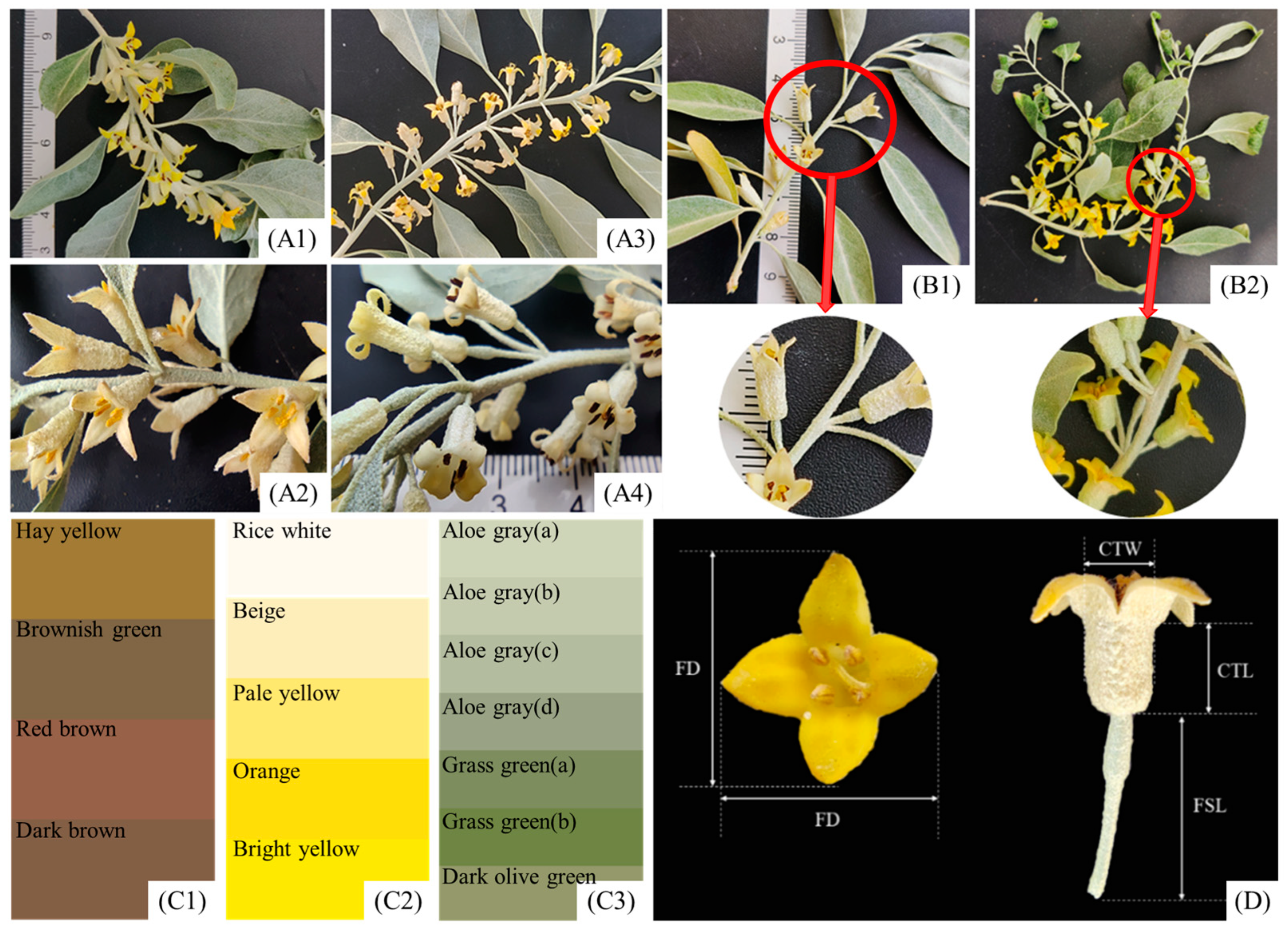 Forests 14 01143 g002