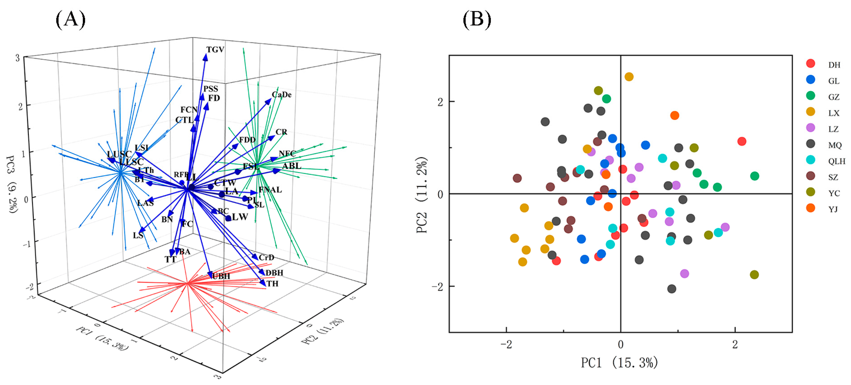 Forests 14 01143 g004