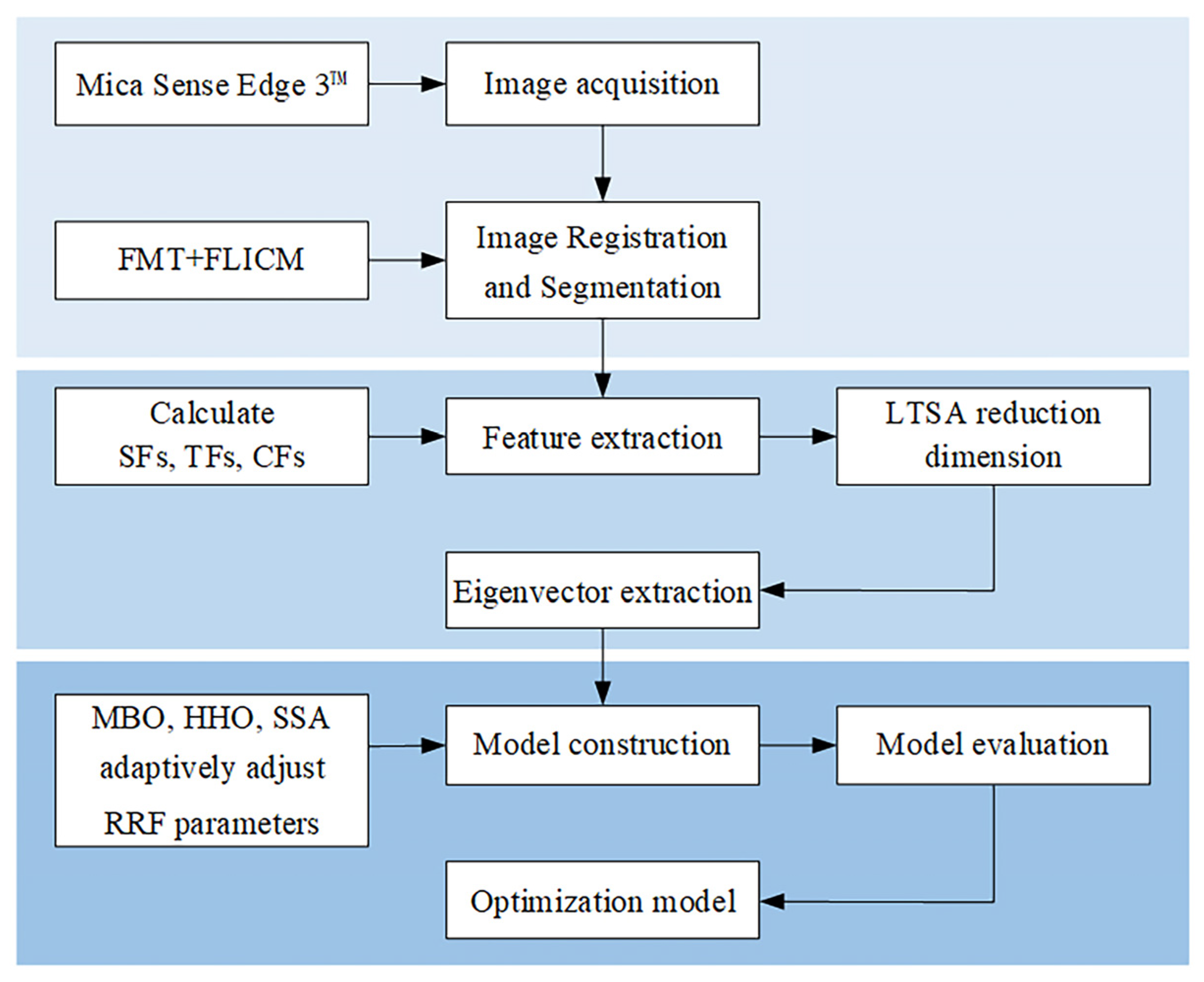 Forests 14 01144 g001