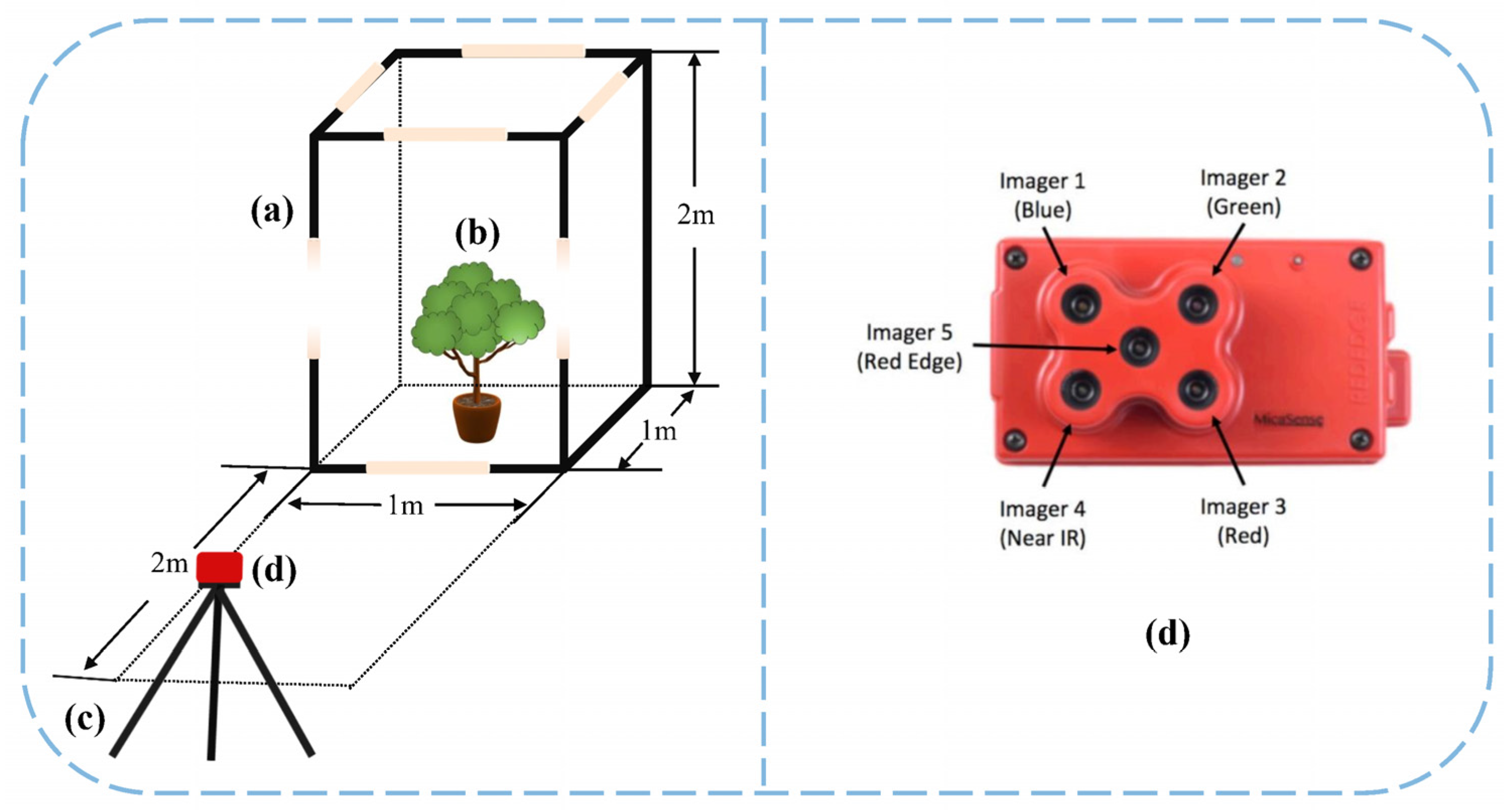Forests 14 01144 g003