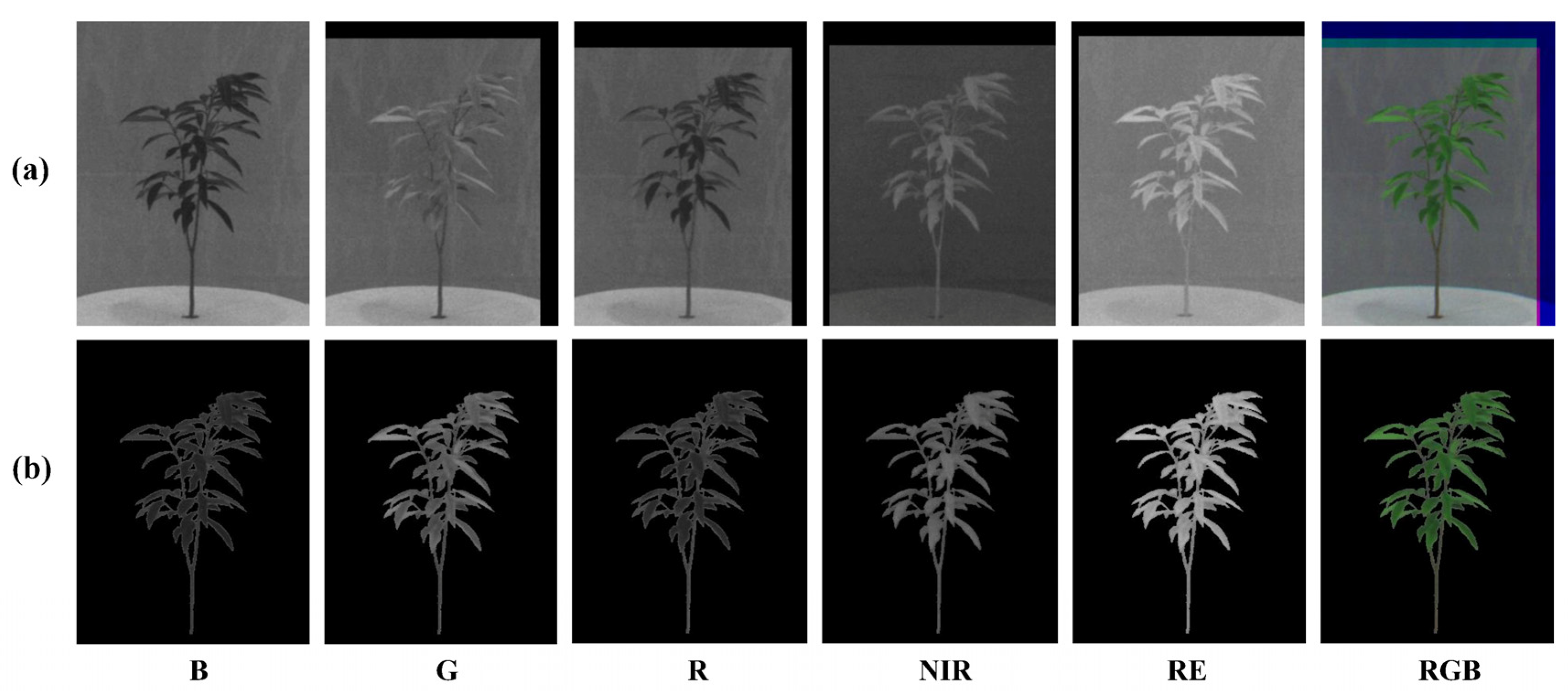 Forests 14 01144 g005